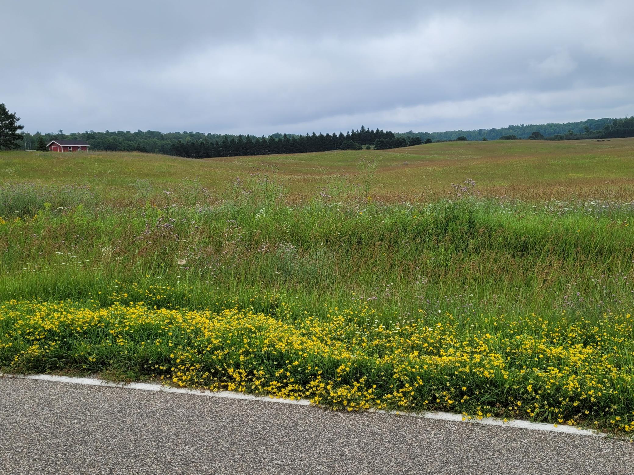 land for sale at TBD Bakkum Road NE in Bemidji, MN (photo 9 of 9)