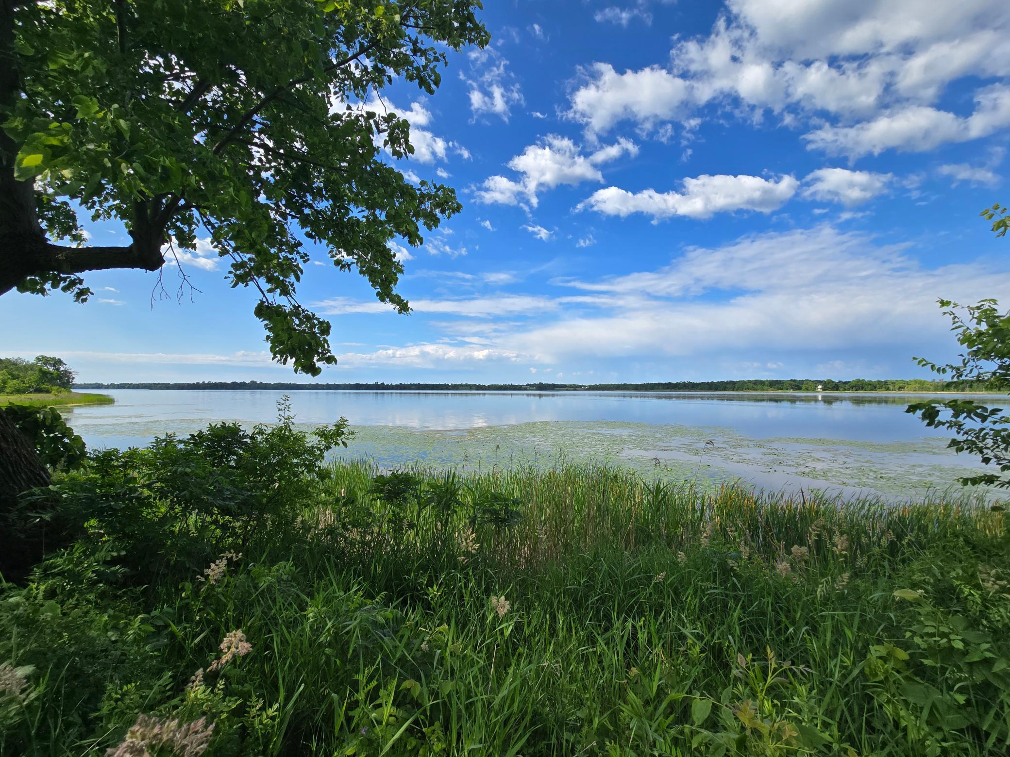 land for sale at TBD 405th Avenue in Richville, MN