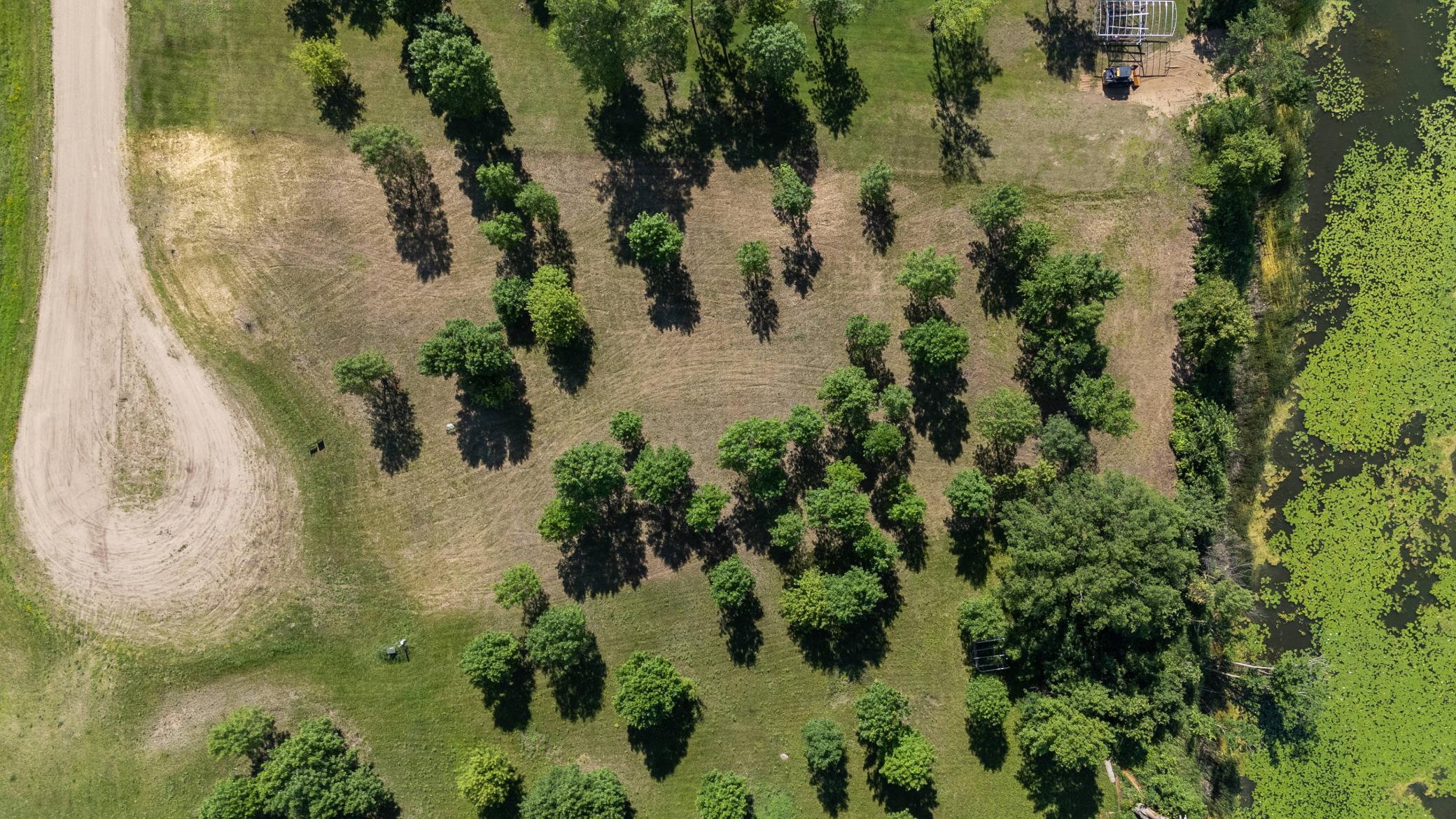 land for sale at TBD 405th Avenue in Richville, MN (photo 13 of 16)