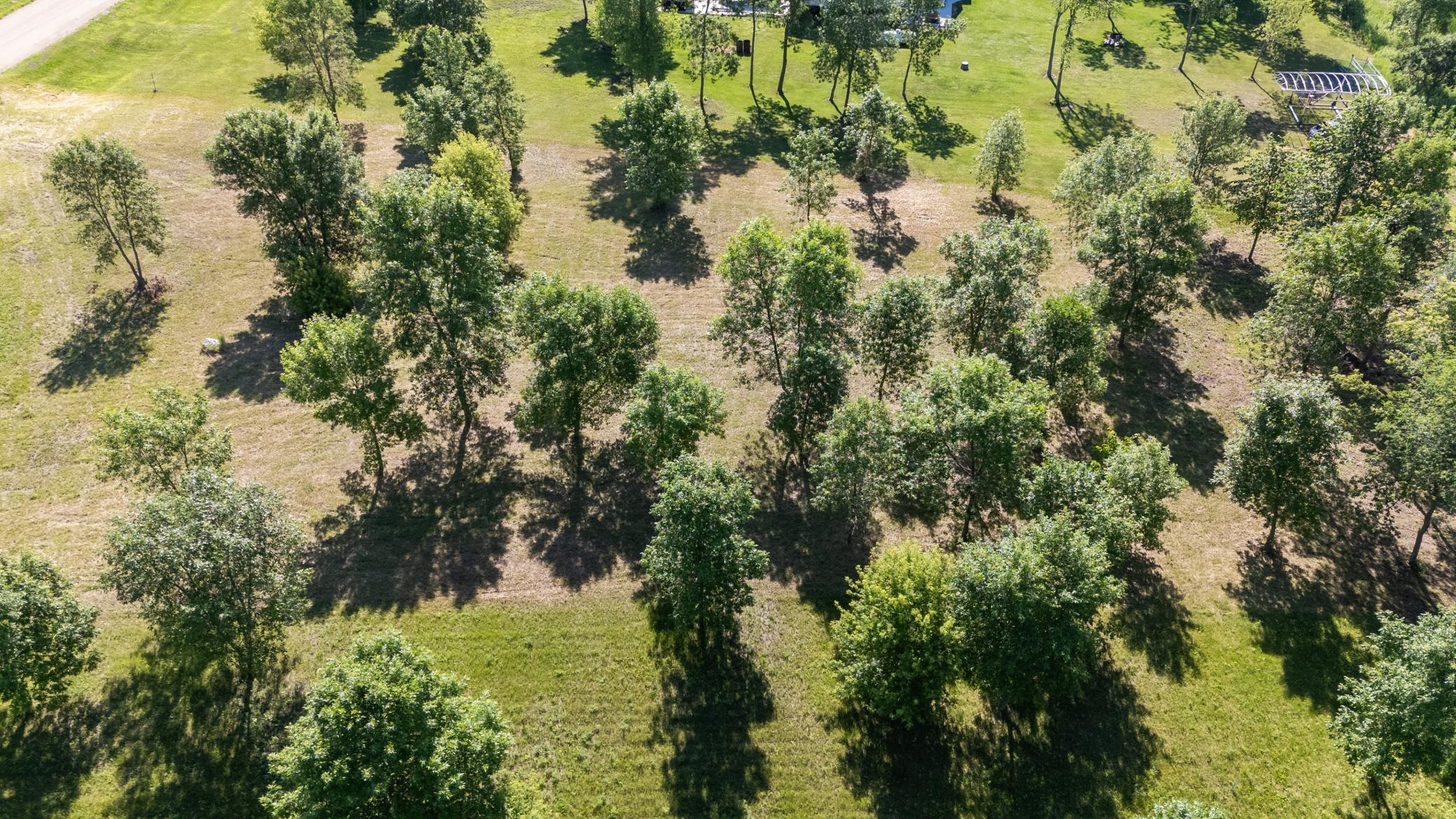 land for sale at TBD 405th Avenue in Richville, MN (photo 15 of 16)