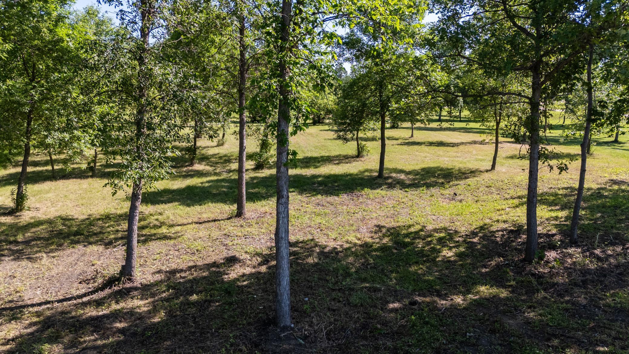 land for sale at TBD 405th Avenue in Richville, MN (photo 9 of 16)