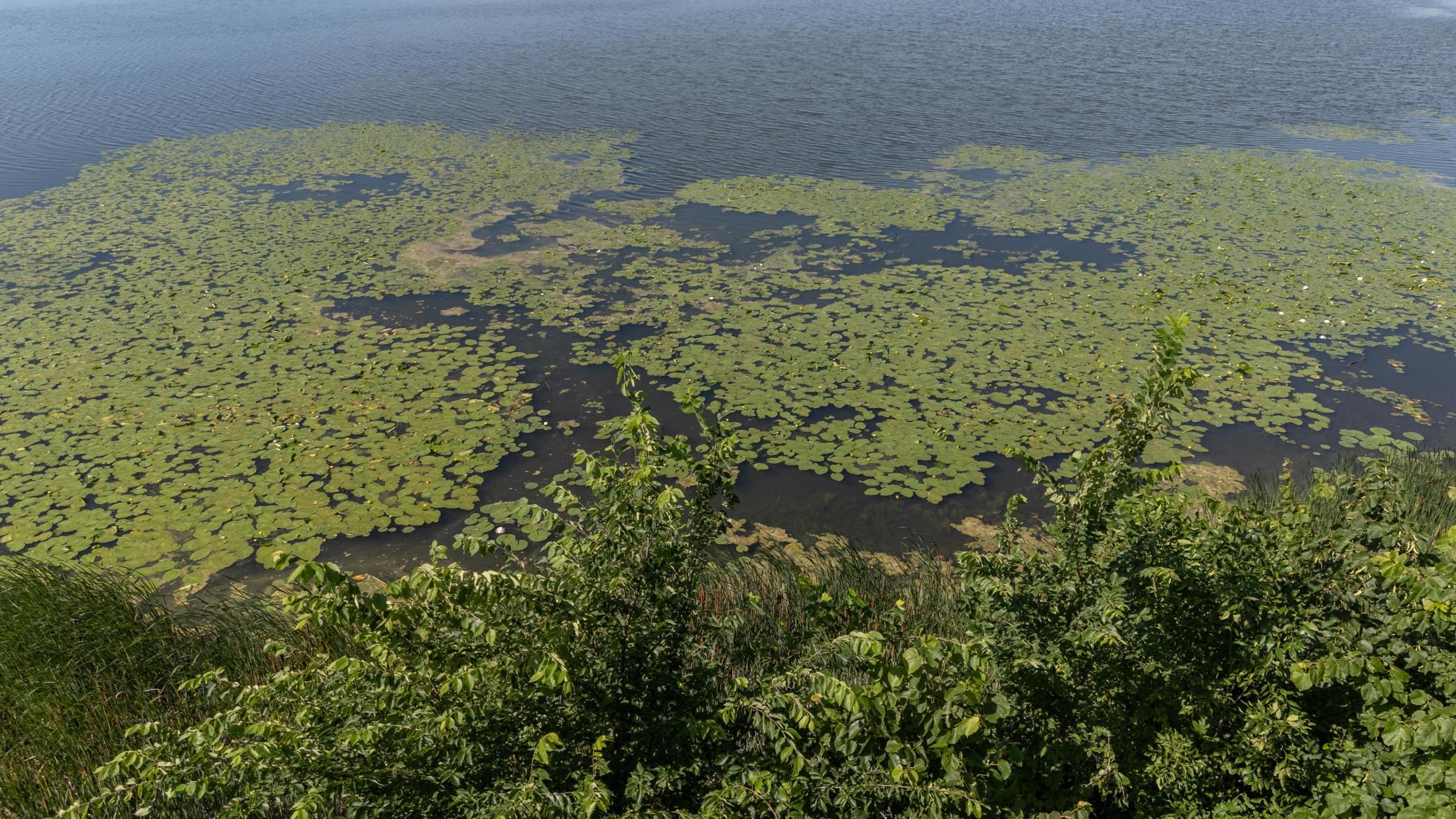 land for sale at TBD 405th Avenue in Richville, MN (photo 10 of 16)