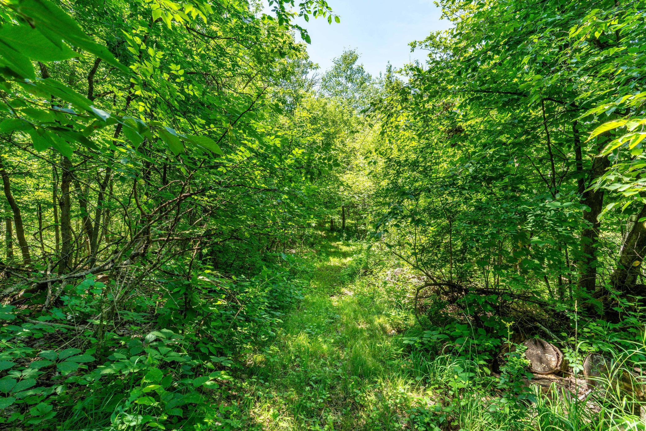 TBD Shady Nook Drive, Underwood MN 56586 - Photo 12 of 31
