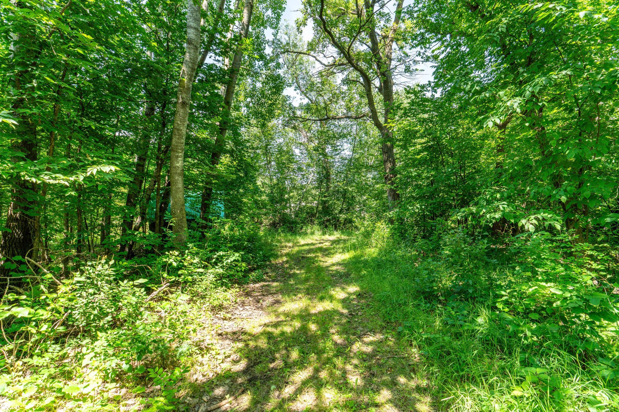 TBD Shady Nook Drive, Underwood MN 56586 - Photo 14 of 31