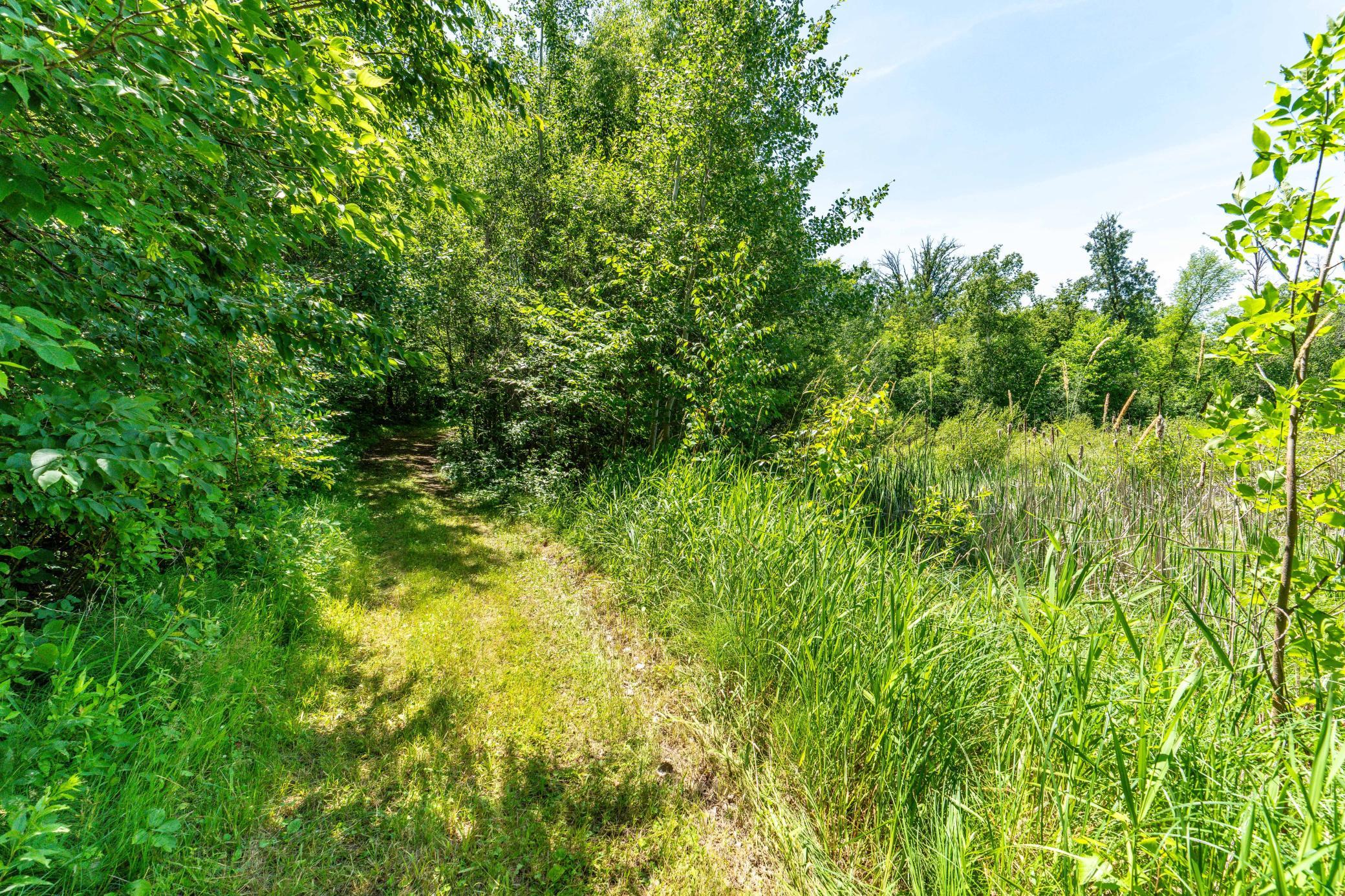 TBD Shady Nook Drive, Underwood MN 56586 - Photo 15 of 31