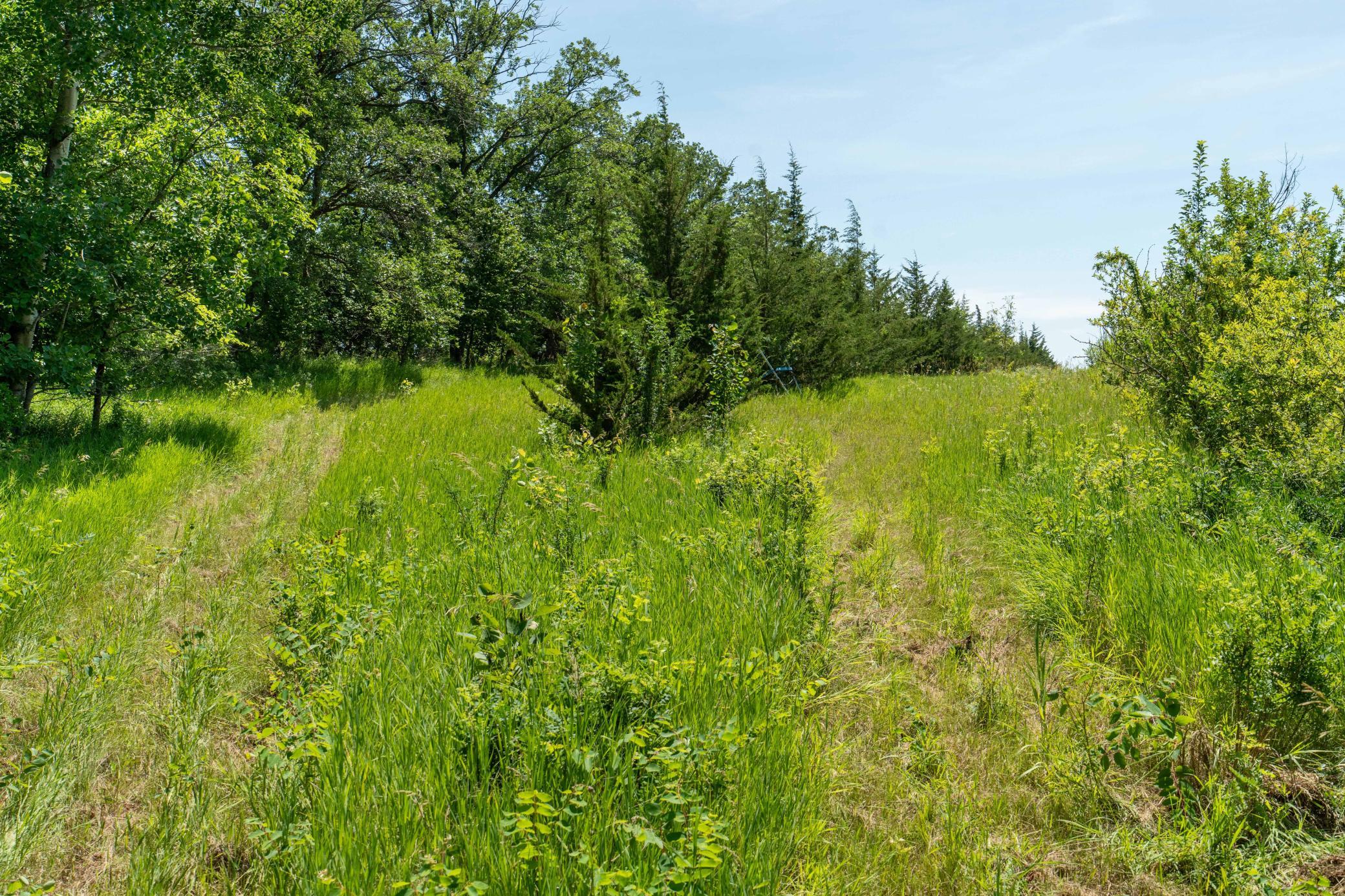 TBD Shady Nook Drive, Underwood MN 56586 - Photo 19 of 31