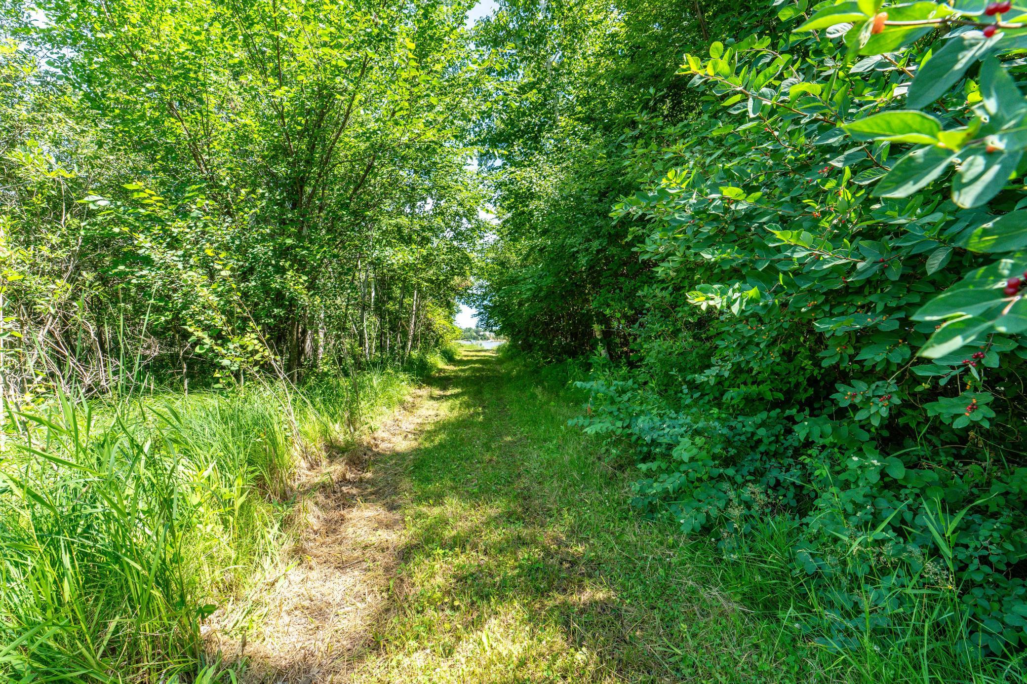 TBD Shady Nook Drive, Underwood MN 56586 - Photo 10 of 31