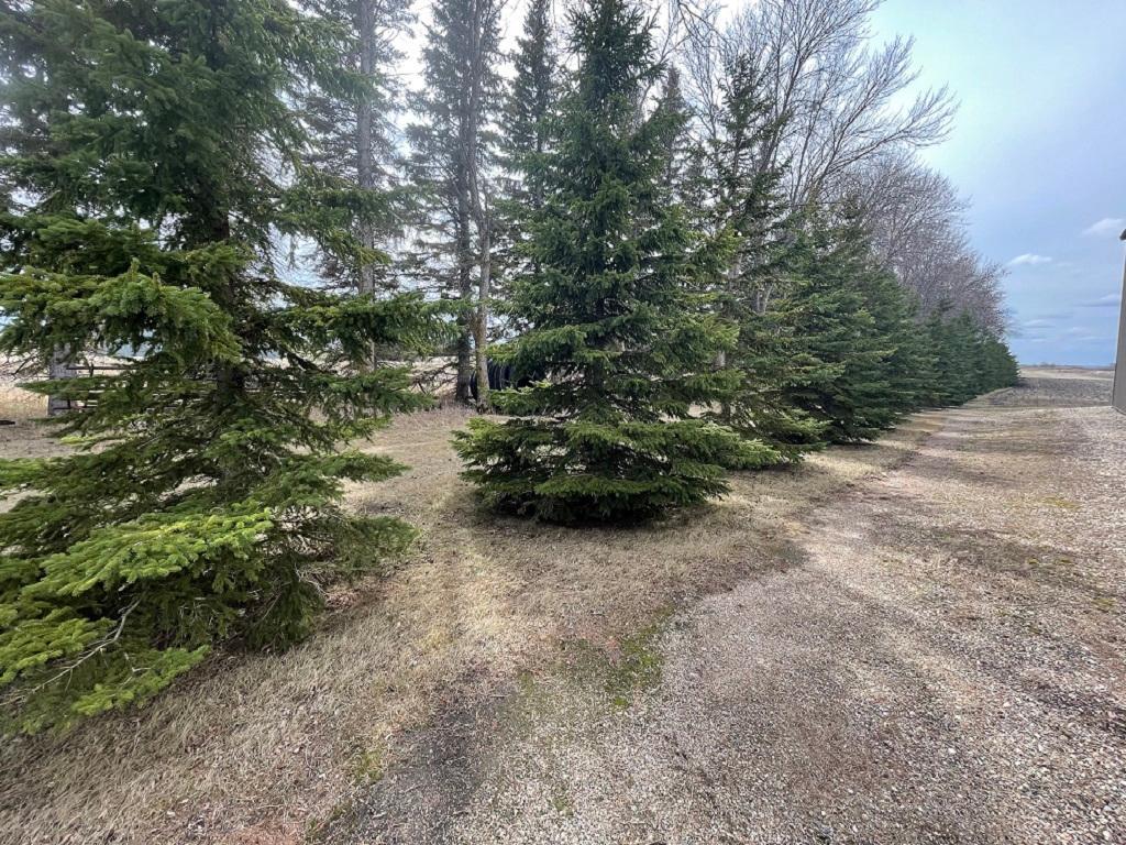 land for sale at XXX 400th Street in Waubun, MN (photo 5 of 11)