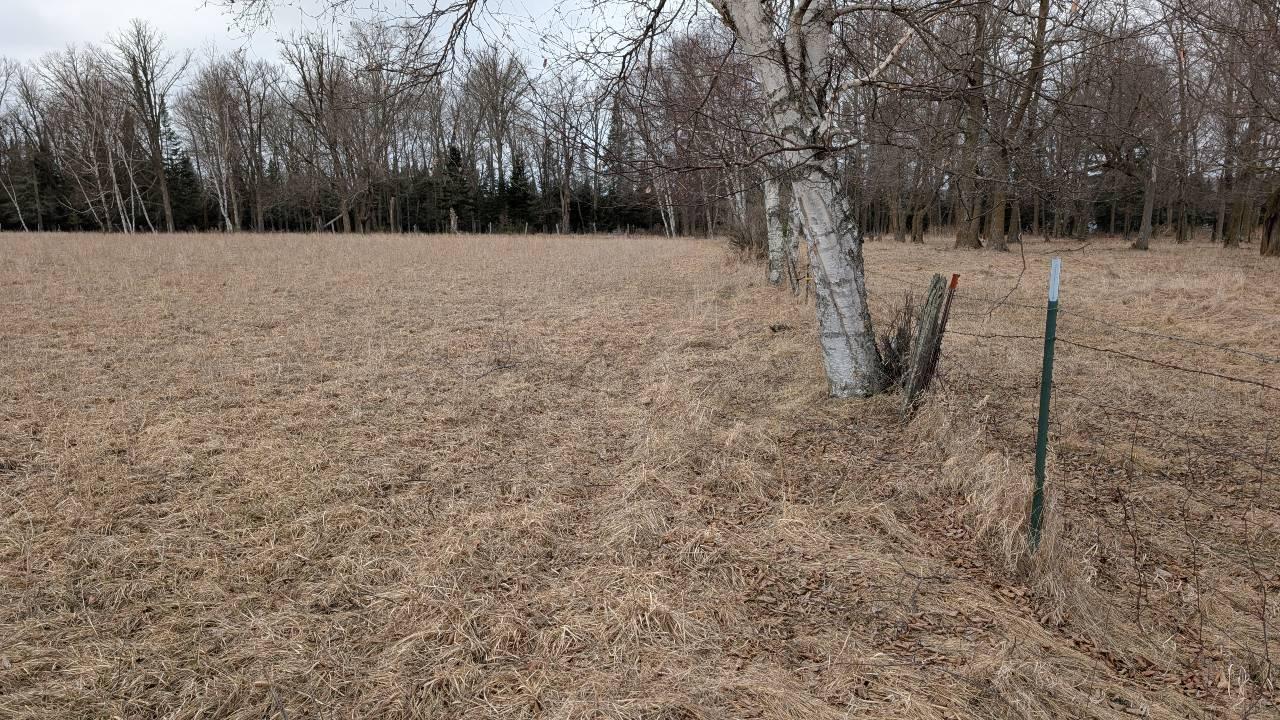 TDB County Rd 453, Bovey MN 55709 - Photo 11 of 14
