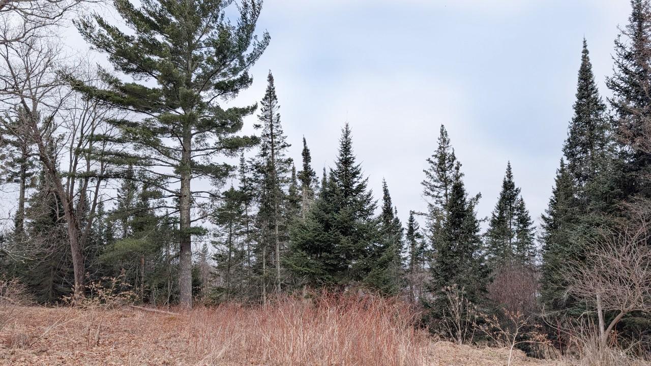TDB County Rd 453, Bovey MN 55709 - Photo 3 of 14