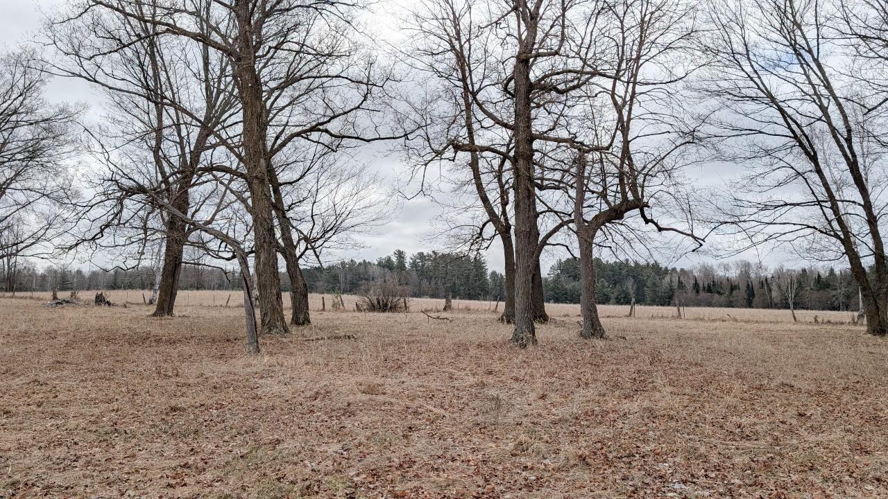 TDB County Rd 453, Bovey MN 55709 - Photo 4 of 14