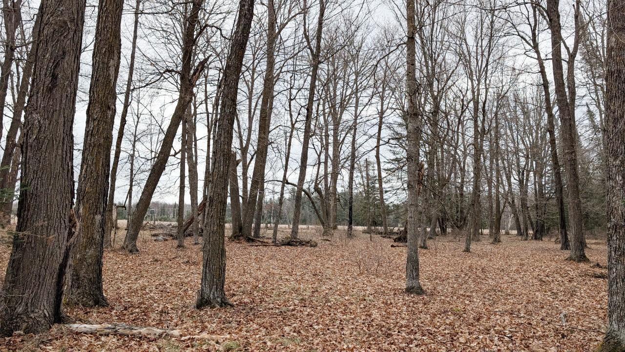 TDB County Rd 453, Bovey MN 55709 - Photo 5 of 14