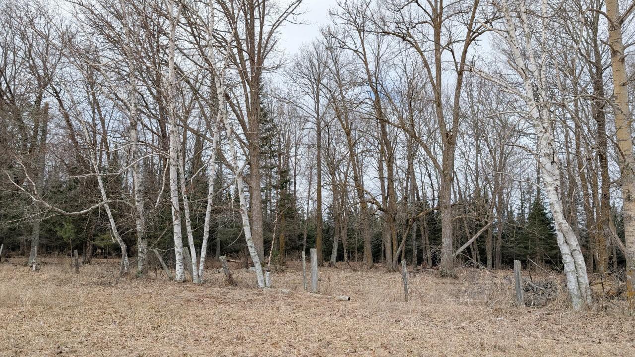 TDB County Rd 453, Bovey MN 55709 - Photo 6 of 14