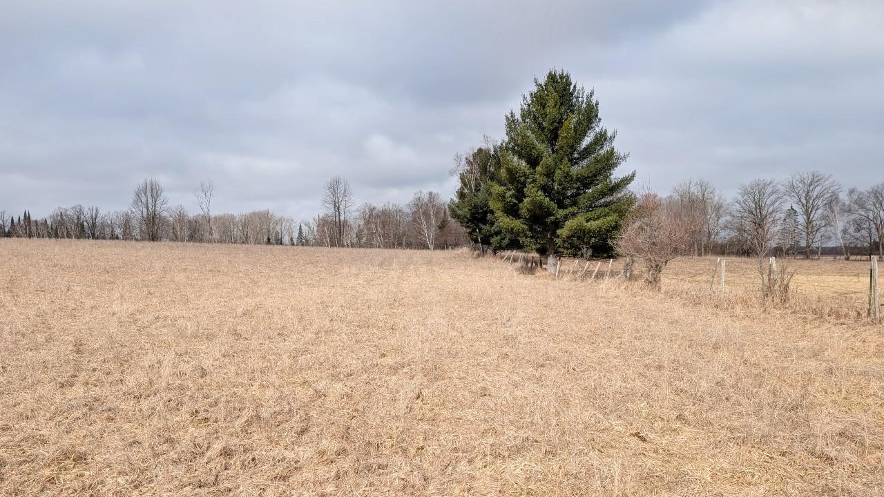 TDB County Rd 453, Bovey MN 55709 - Photo 7 of 14