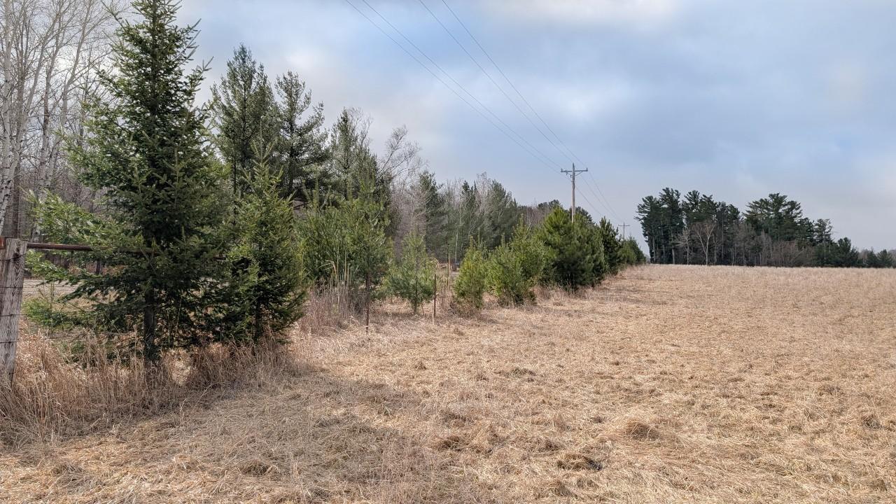 TDB County Rd 453, Bovey MN 55709 - Photo 8 of 14