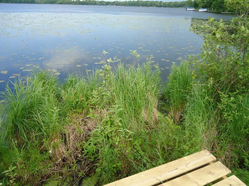 3915 S Sebie Lake Road, Fort Ripley MN 56449 - Photo 5 of 7