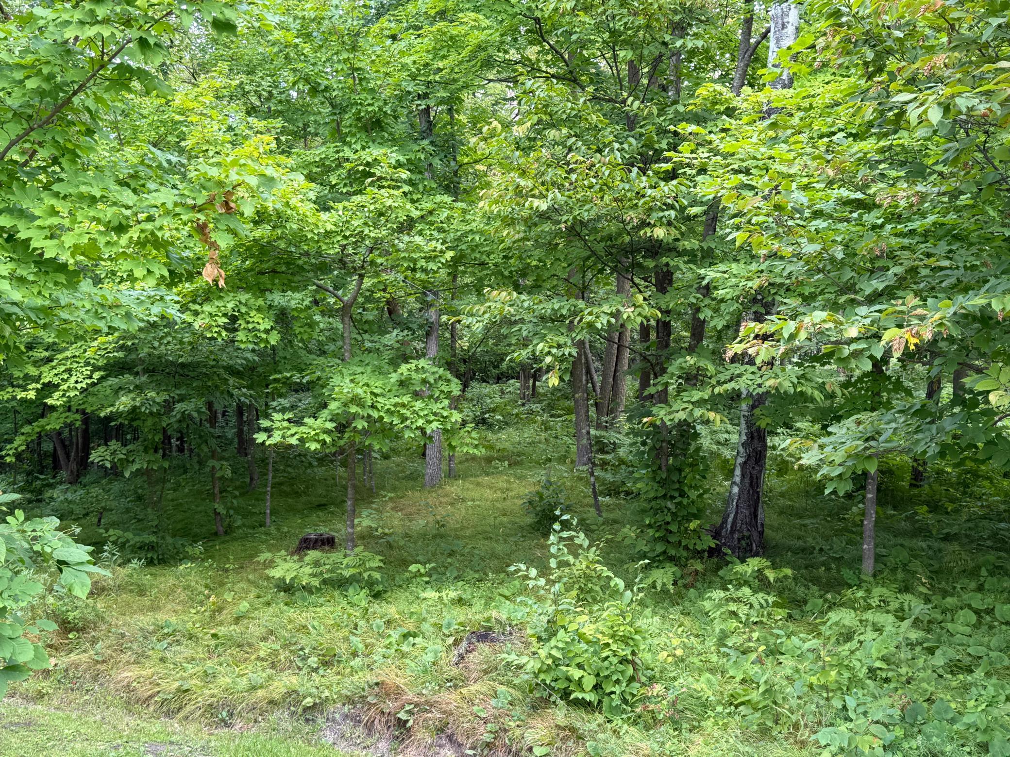 land for sale at 14888 Eaglewood Drive in Detroit Lakes, MN
