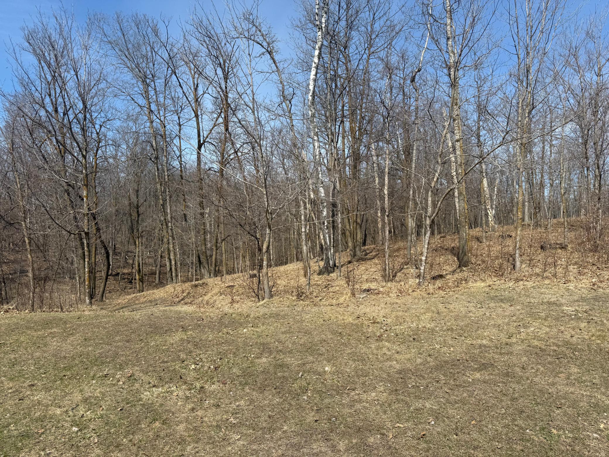 land for sale at 14888 Eaglewood Drive in Detroit Lakes, MN (photo 3 of 4)