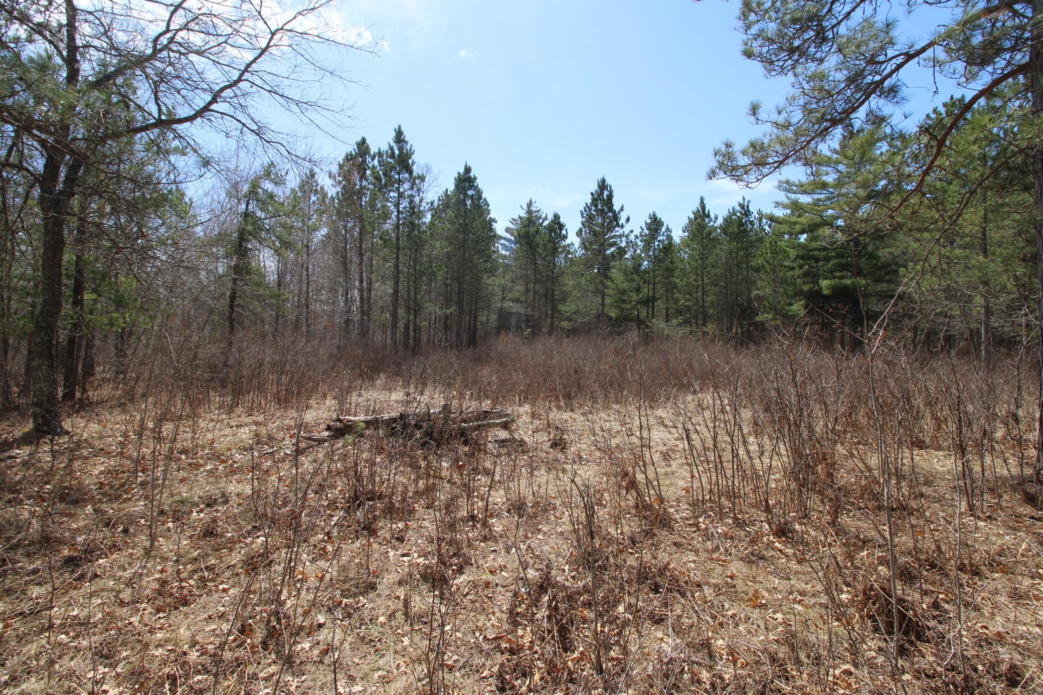 land for sale at 37441 Darsnek Road in Emily, MN