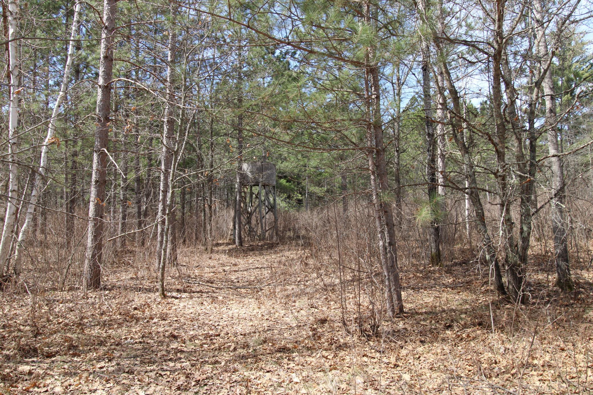 land for sale at 37441 Darsnek Road in Emily, MN (photo 3 of 10)