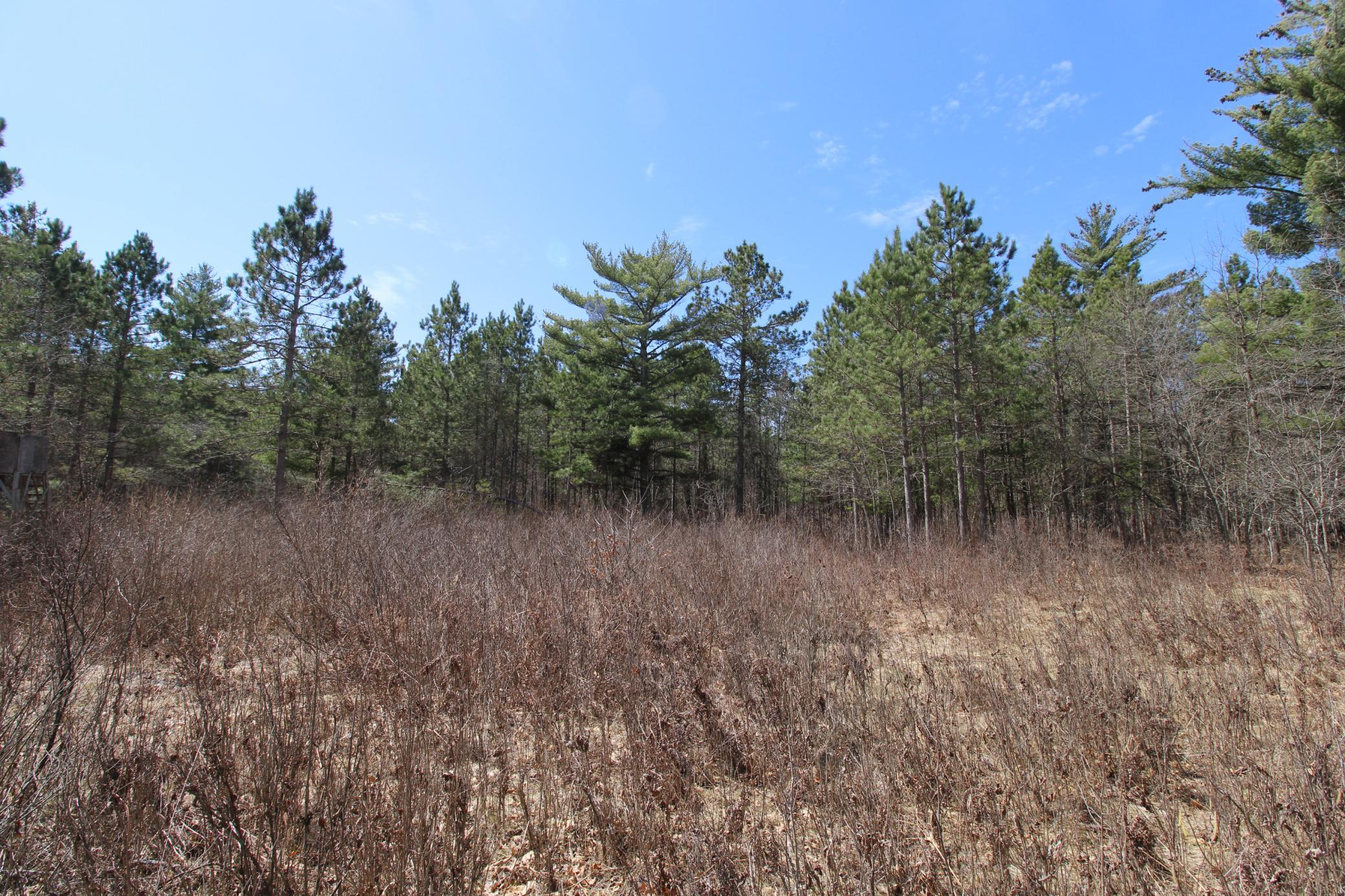 land for sale at 37441 Darsnek Road in Emily, MN (photo 5 of 10)