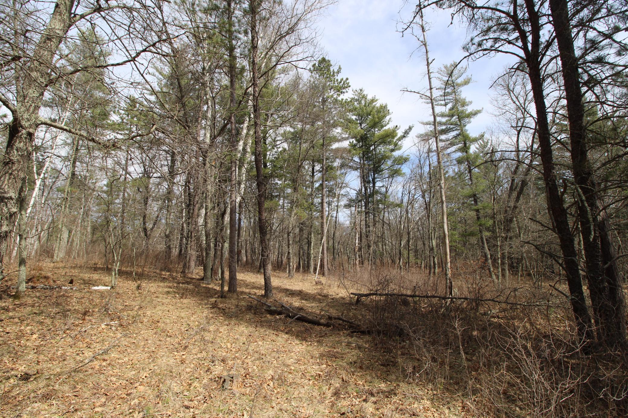 land for sale at 37441 Darsnek Road in Emily, MN (photo 6 of 10)