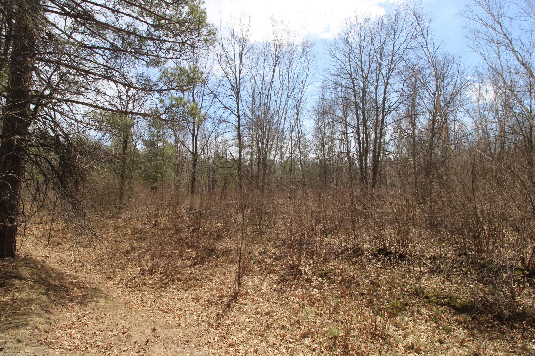 land for sale at 37441 Darsnek Road in Emily, MN (photo 7 of 10)