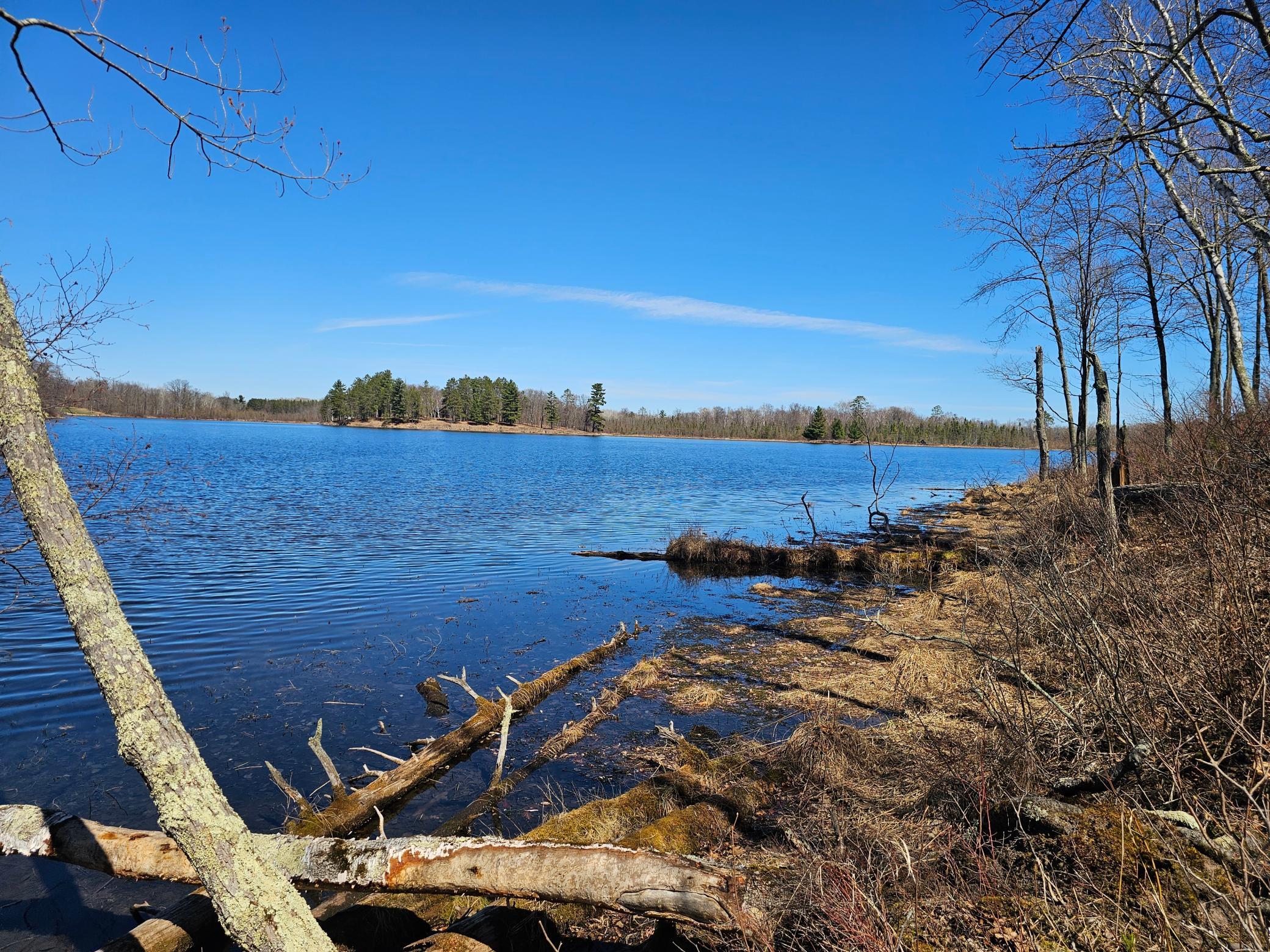 TBD Tract B Swanson Road, Deerwood MN 56444 - Photo 3 of 9