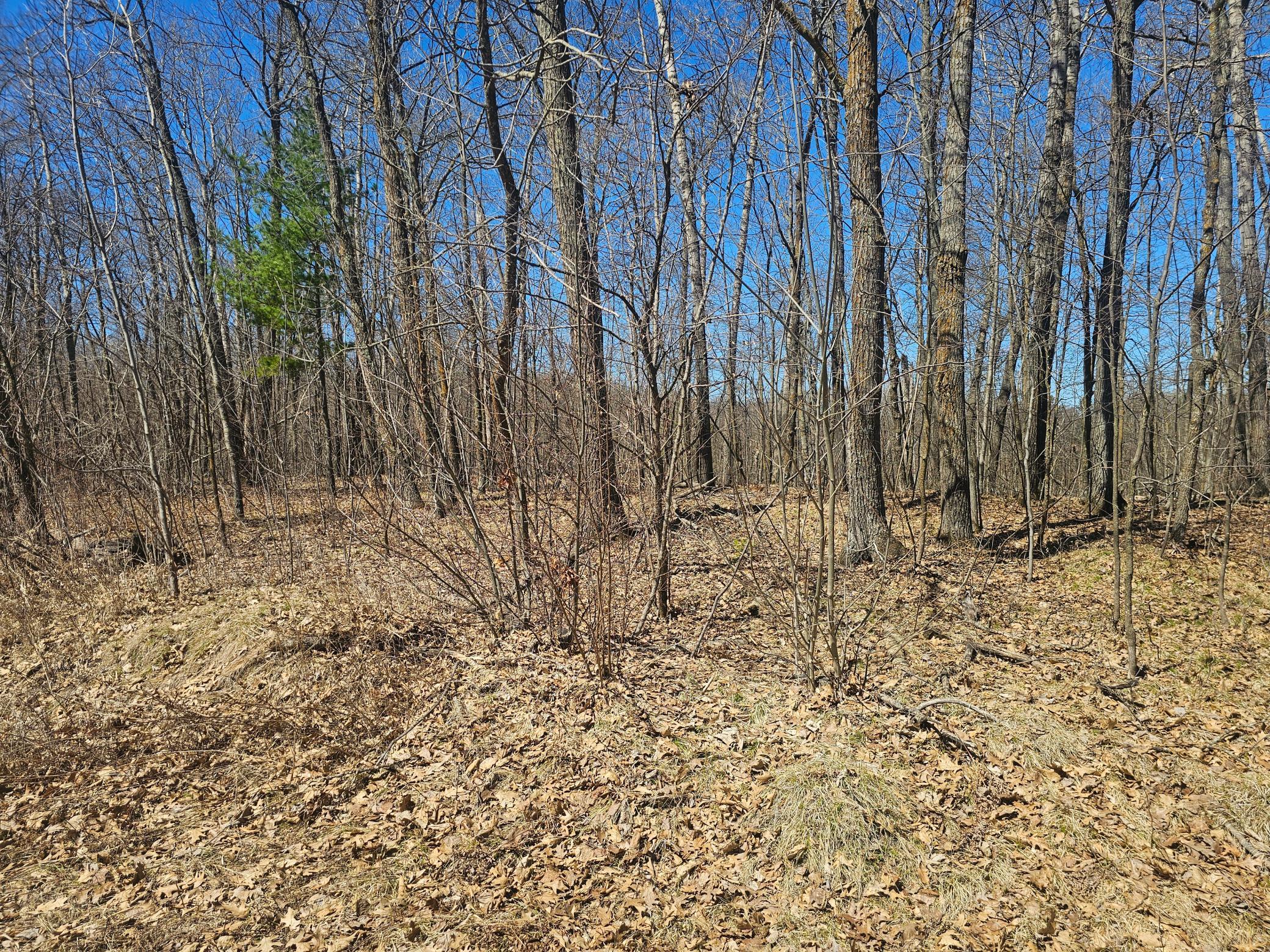 TBD Tract B Swanson Road, Deerwood MN 56444 - Photo 4 of 9