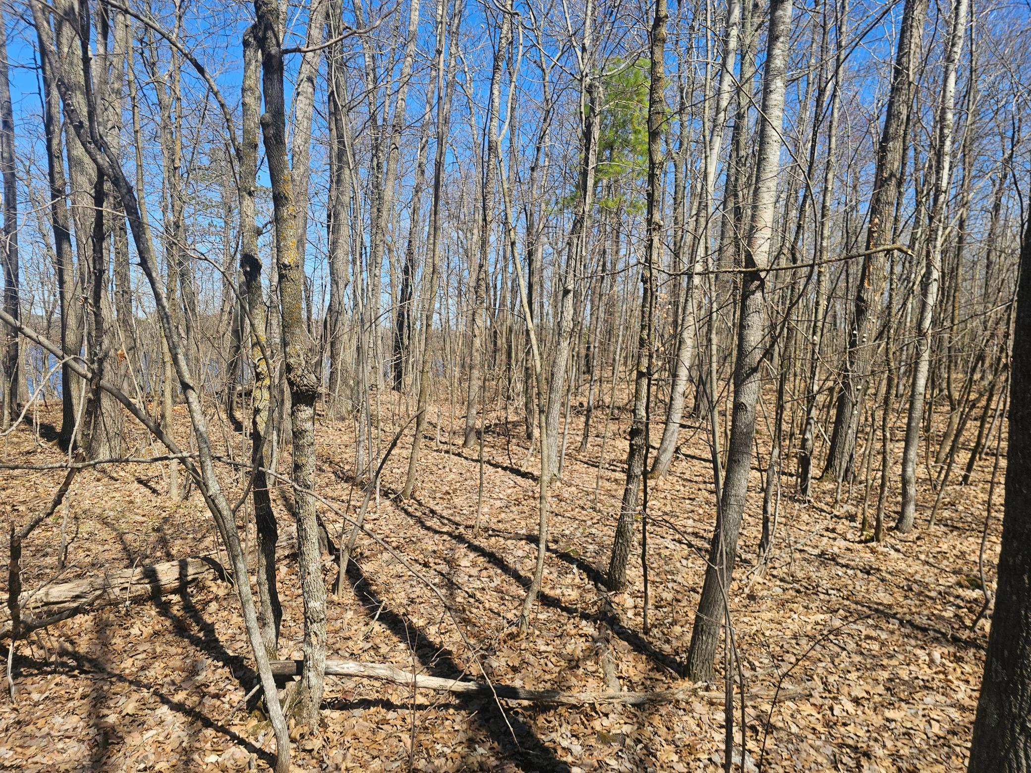 TBD Tract B Swanson Road, Deerwood MN 56444 - Photo 5 of 9