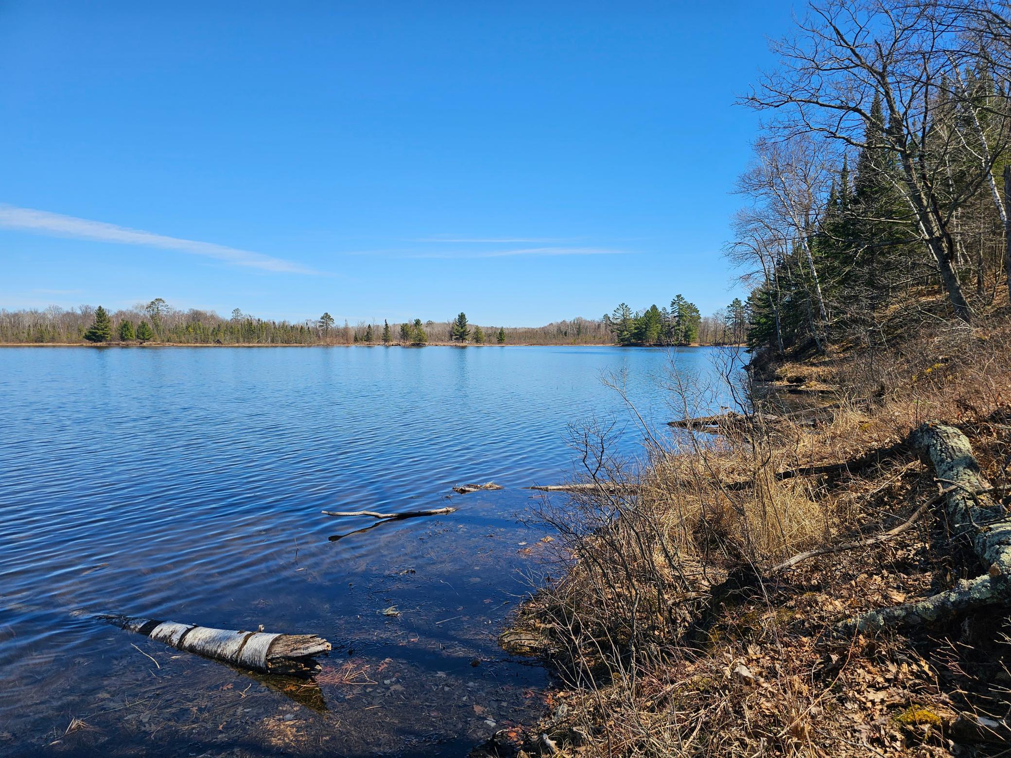 TBD Tract B Swanson Road, Deerwood MN 56444 - Photo 6 of 9