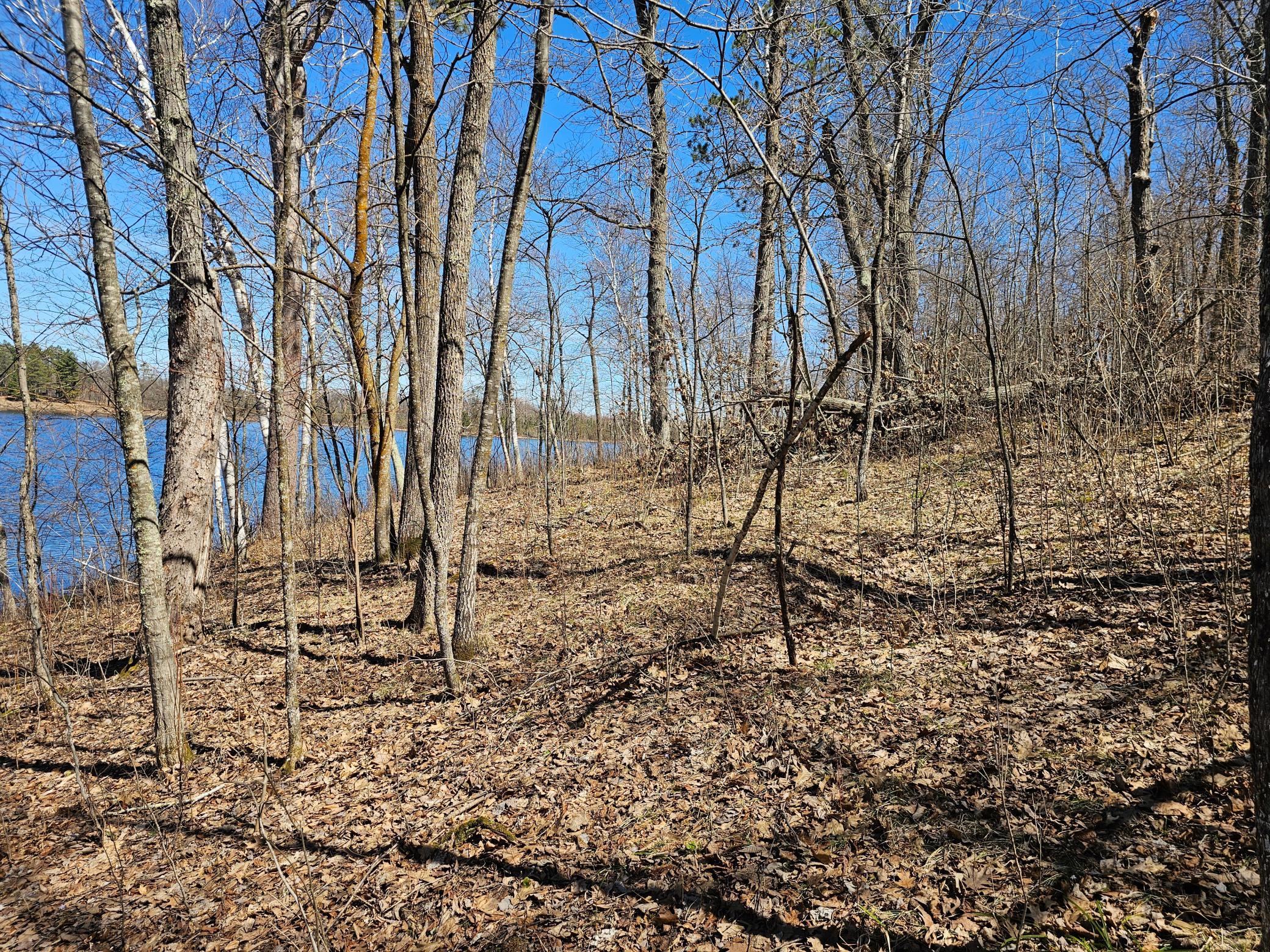 TBD Tract B Swanson Road, Deerwood MN 56444 - Photo 8 of 9