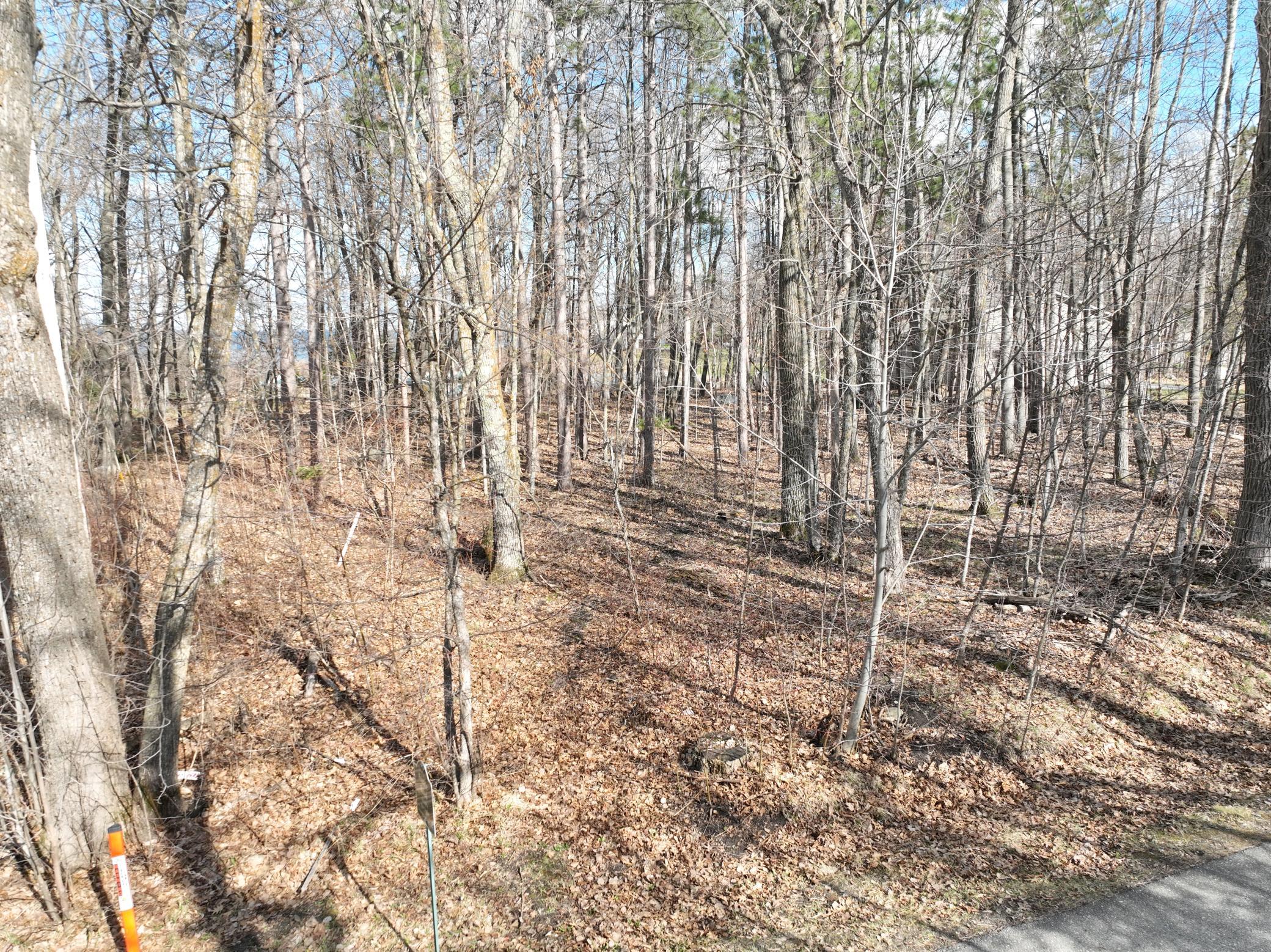 TBD Hawthorn Trail, Walker MN 56484 - Photo 7 of 8