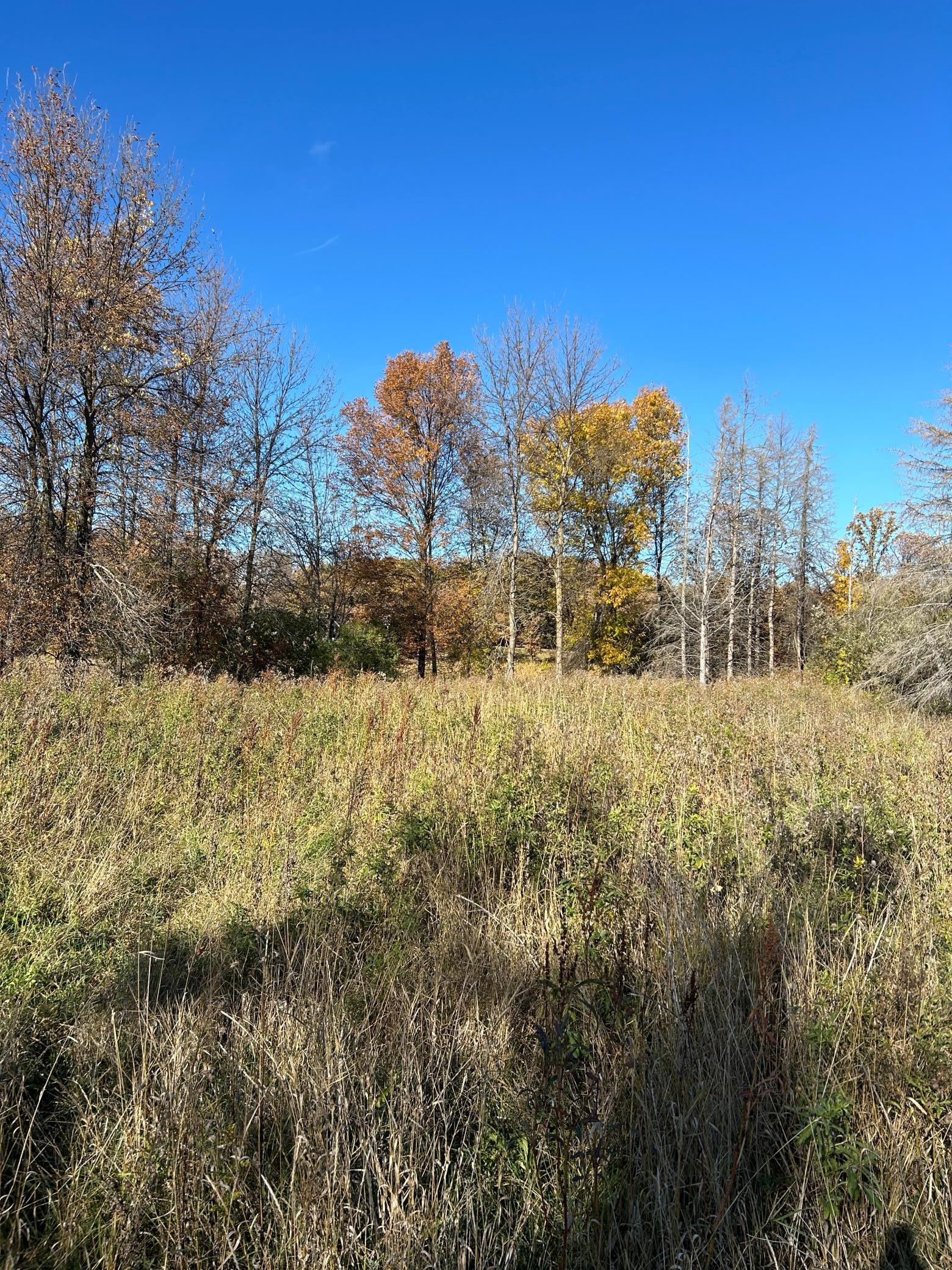 land for sale at XXX Riverbend Drive in Warroad, MN (photo 8 of 19)