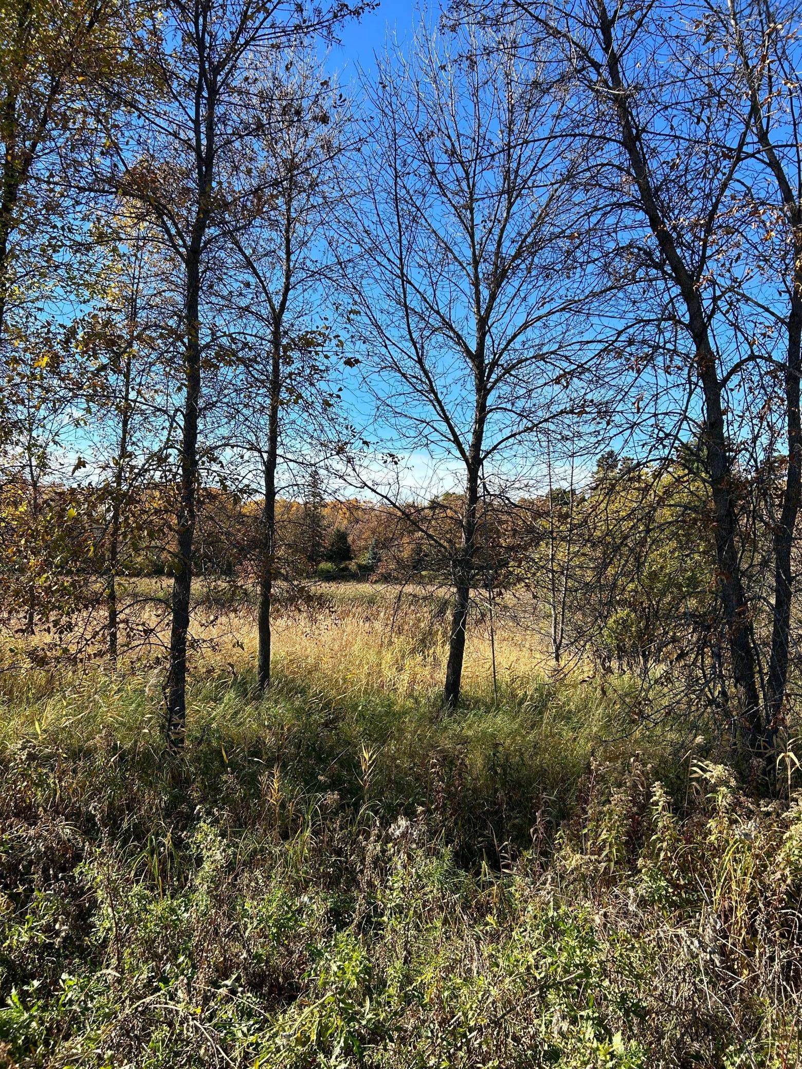 land for sale at XXX Riverbend Drive in Warroad, MN (photo 9 of 19)