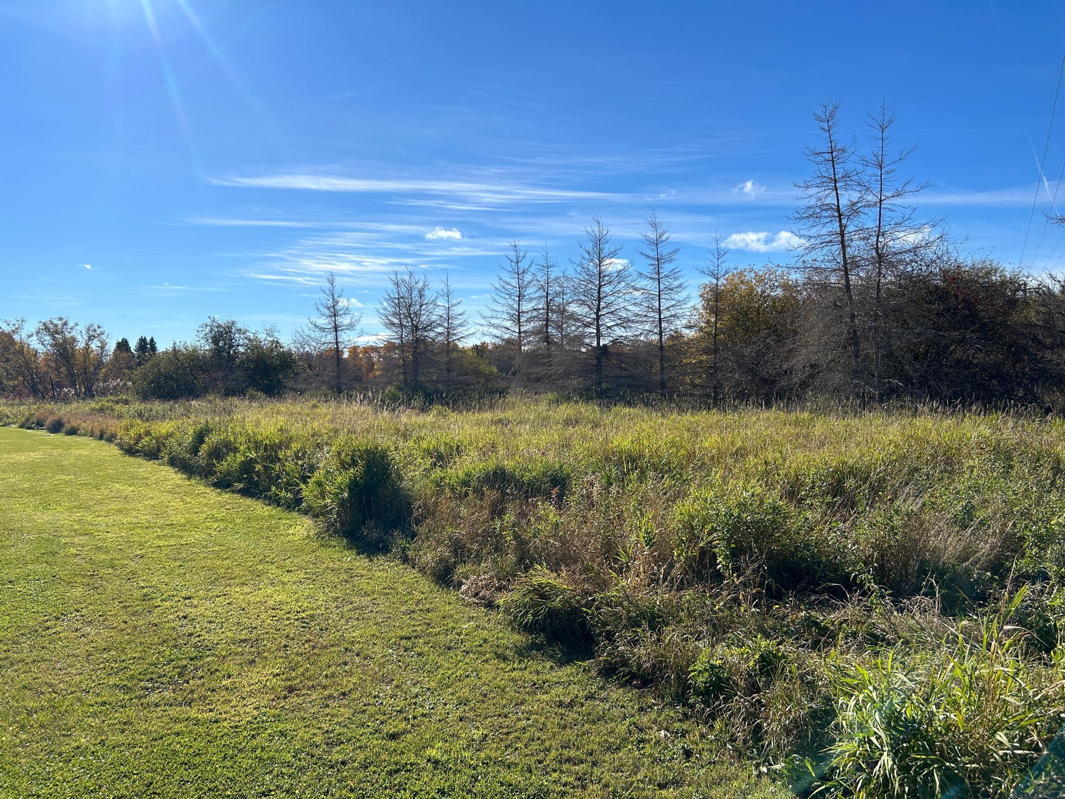 land for sale at 000 Riverbend Drive in Warroad, MN (photo 3 of 15)
