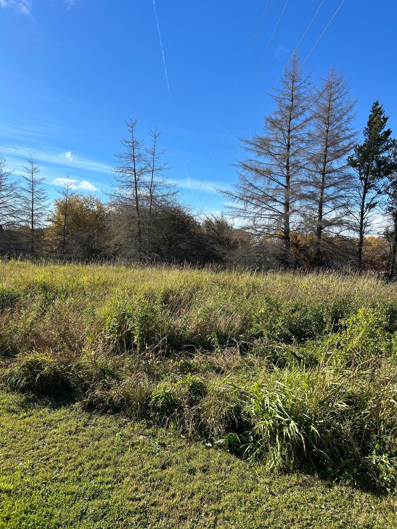 land for sale at 000 Riverbend Drive in Warroad, MN (photo 4 of 15)