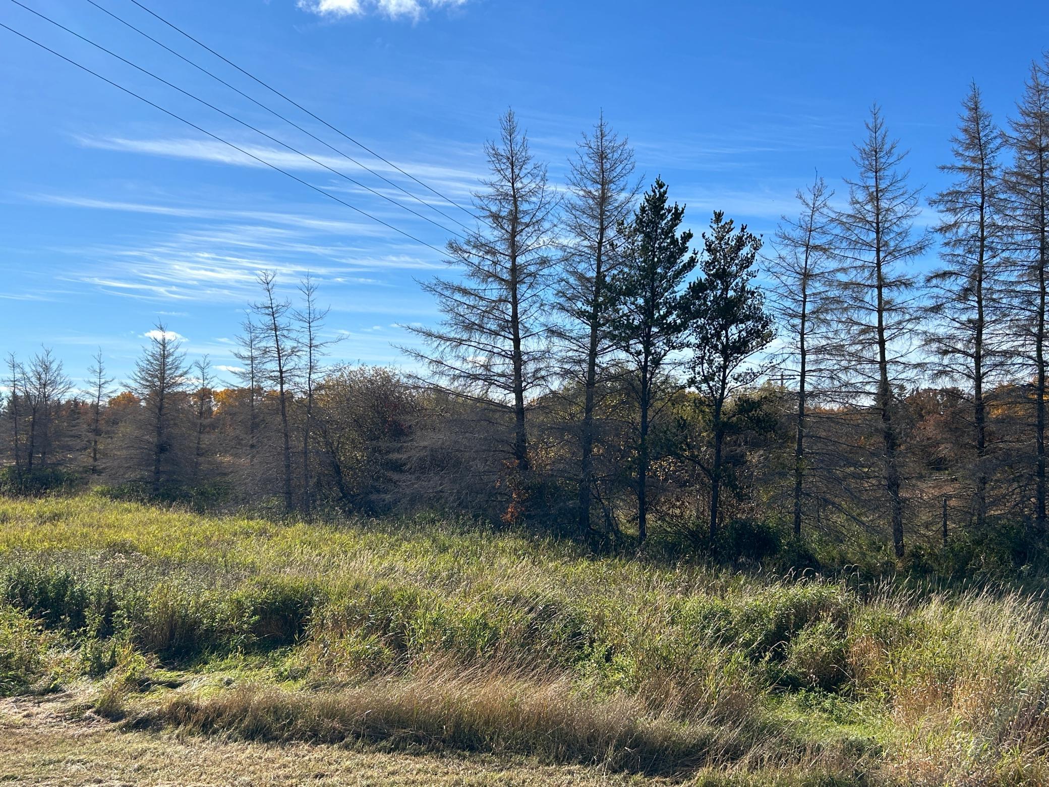 land for sale at 000 Riverbend Drive in Warroad, MN (photo 5 of 15)