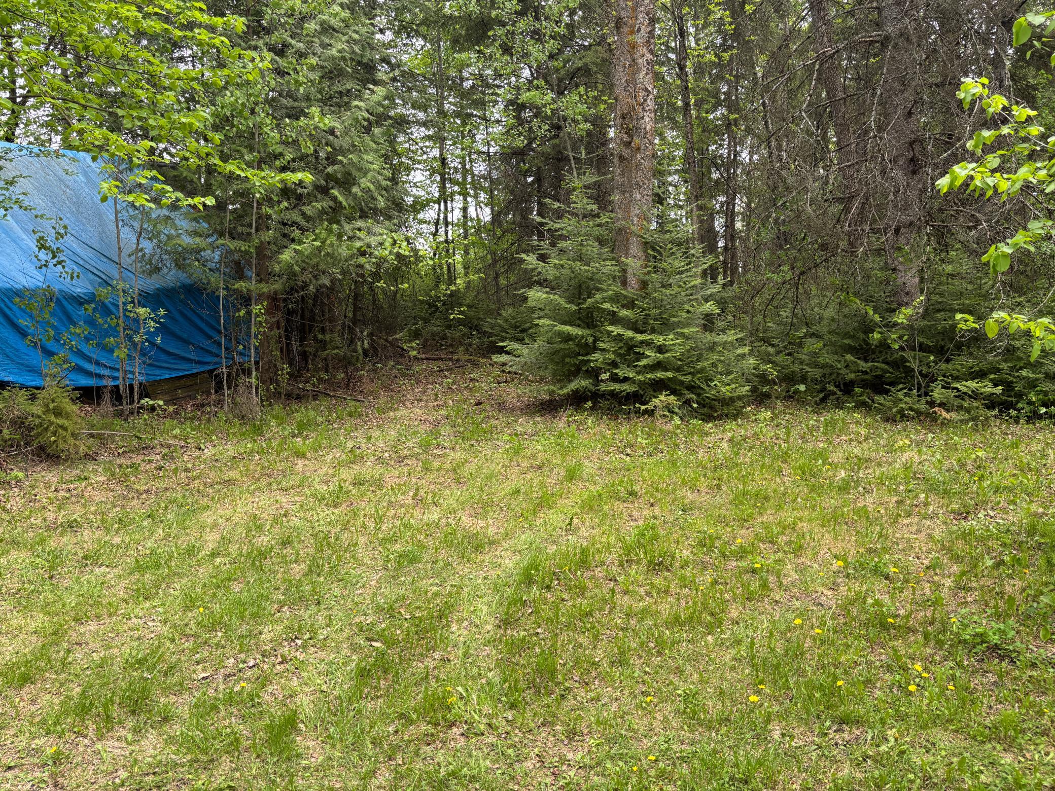1946 single family home for sale at 54654 Highway 72 NE in Waskish, MN — 3 bed, 1 bath (photo 34 of 45)
