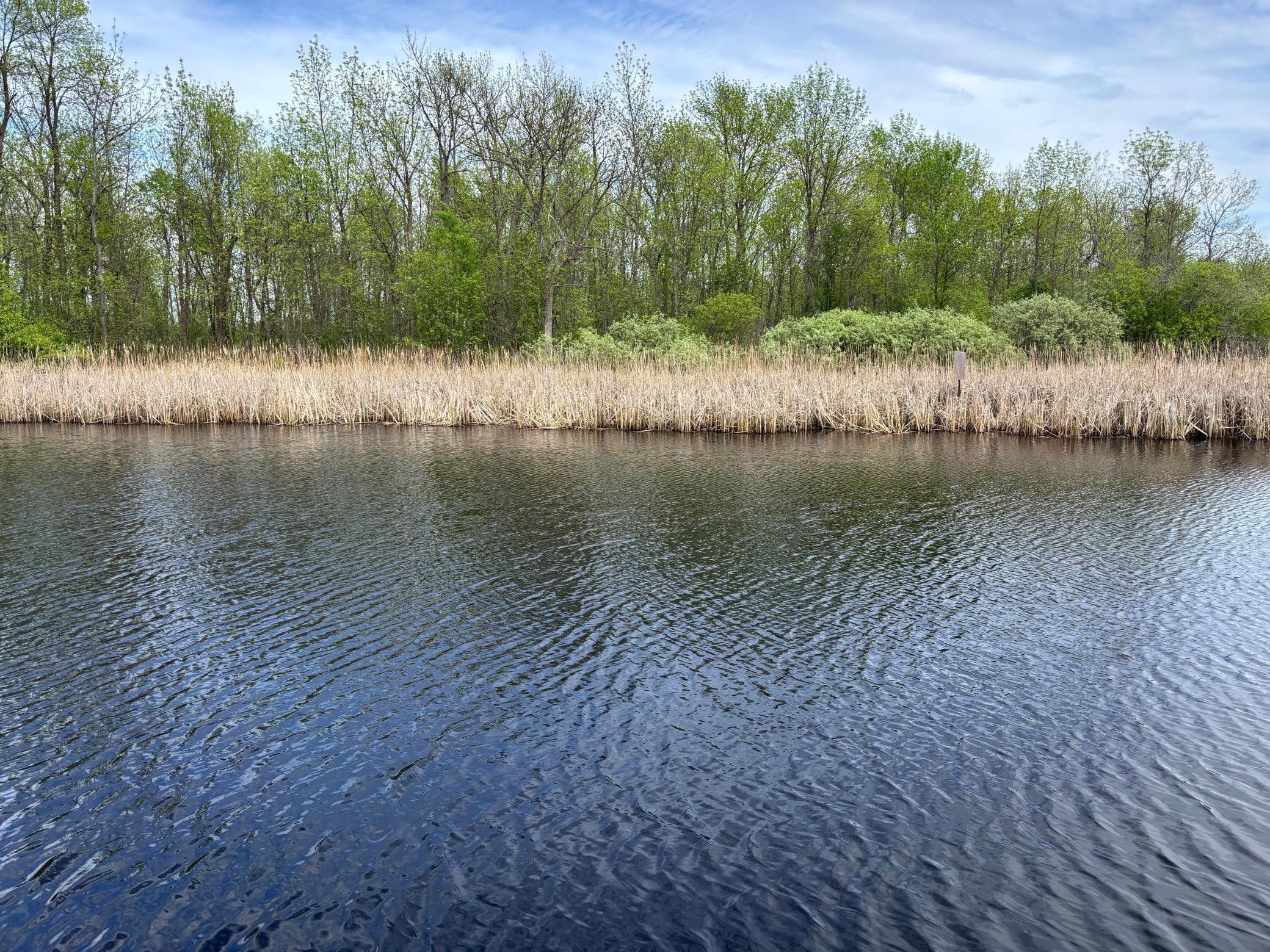 1946 single family home for sale at 54654 Highway 72 NE in Waskish, MN — 3 bed, 1 bath (photo 42 of 45)