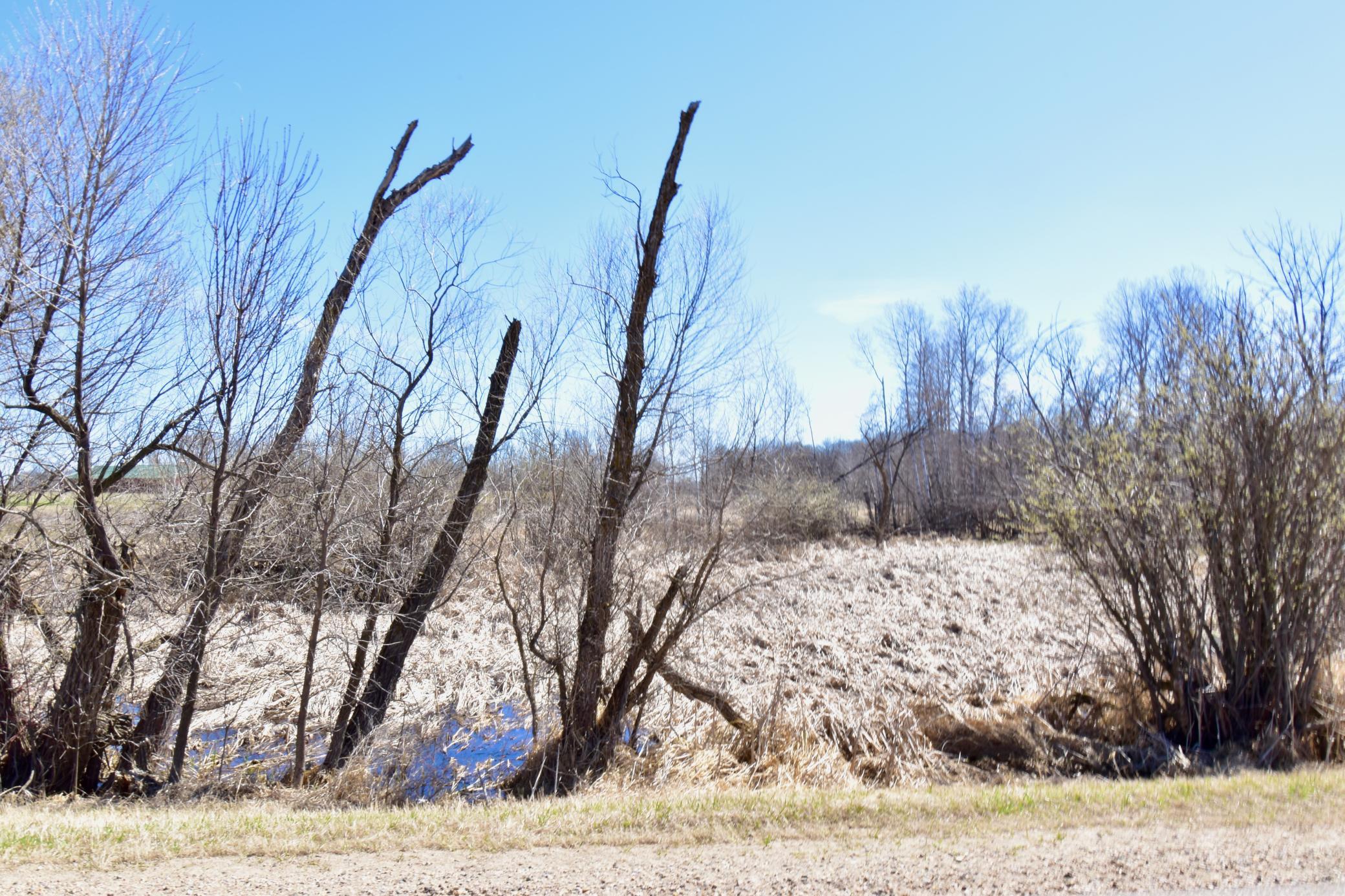 land for sale at TBD Co Rd 78 SE in Alexandria, MN (photo 26 of 29)