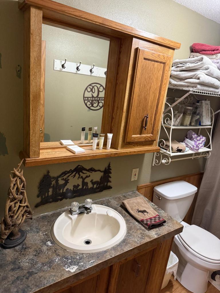 22880 Sunny Beach Road NE, Kelliher MN 56650 - Photo 60 of 72