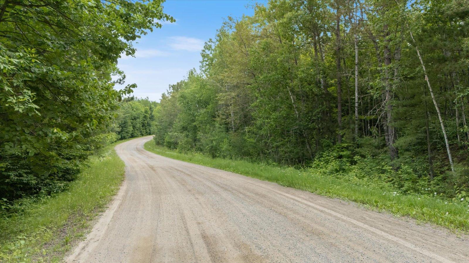 land for sale at TBD "Lot A" Co Rd 533 in Effie, MN (photo 4 of 6)