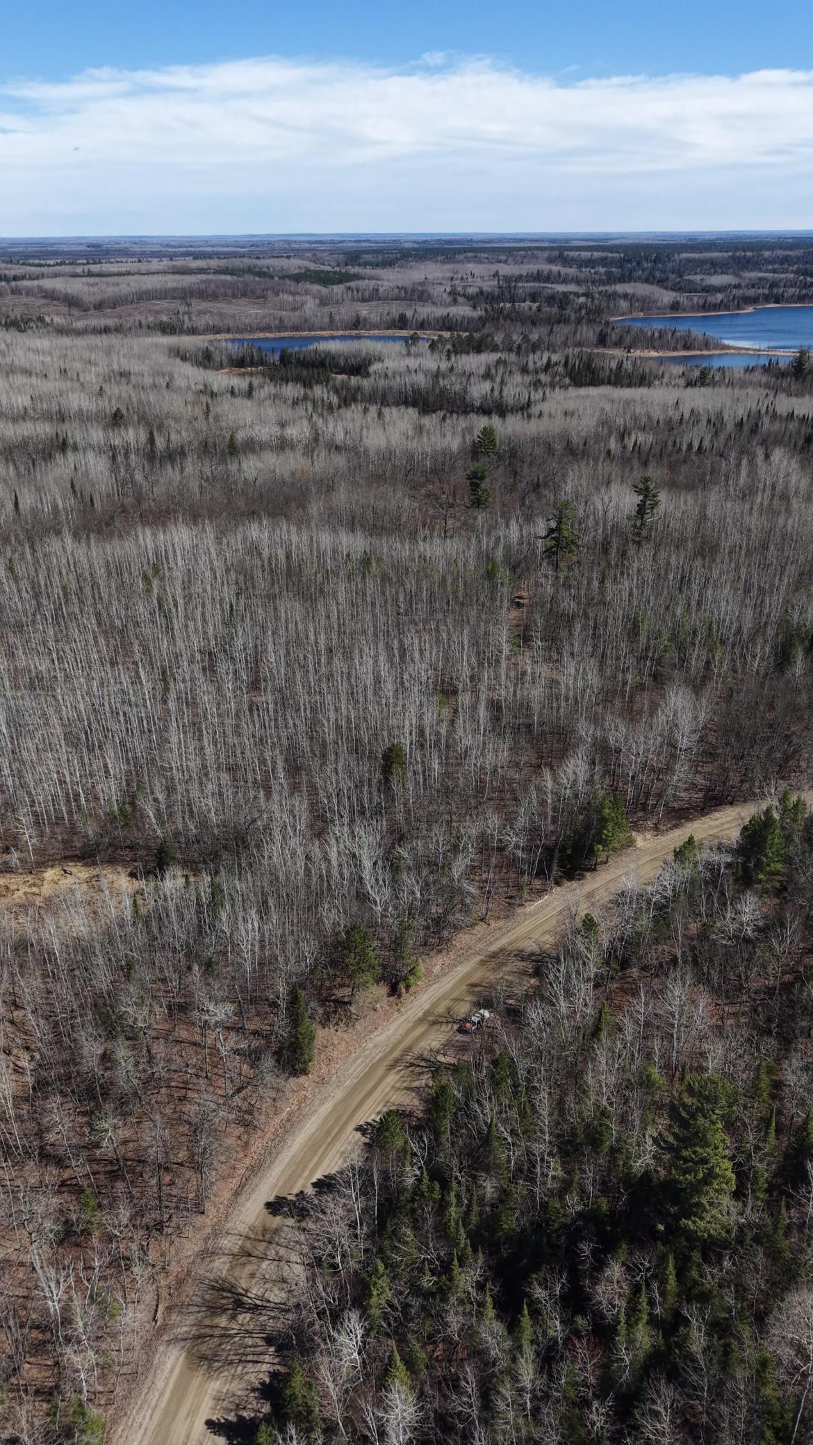 land for sale at TBD "Lot A" Co Rd 533 in Effie, MN (photo 5 of 6)