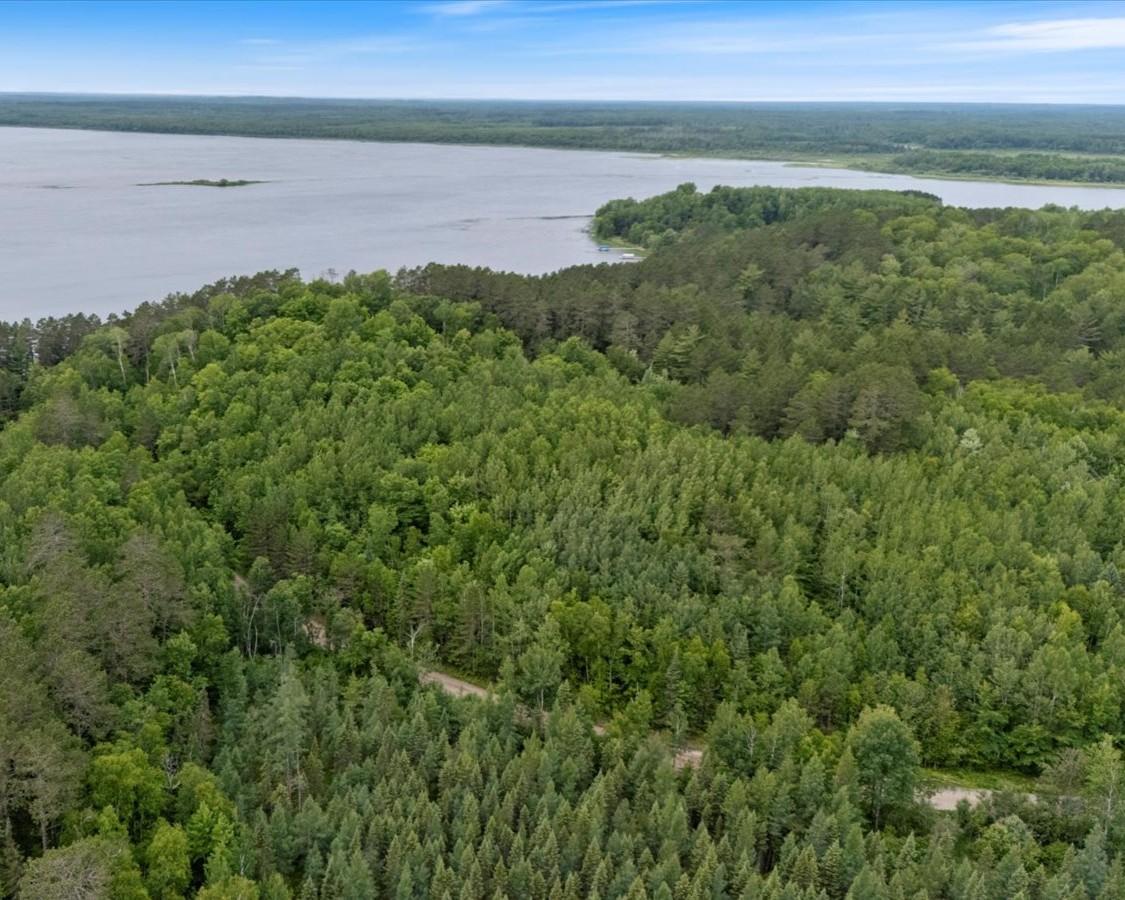 1985 land for sale at TBD "Lot C" County Road 533 in Effie, MN