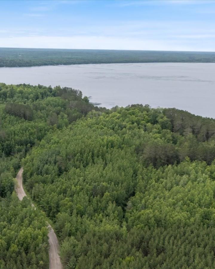 1985 land for sale at TBD "Lot C" County Road 533 in Effie, MN (photo 2 of 6)