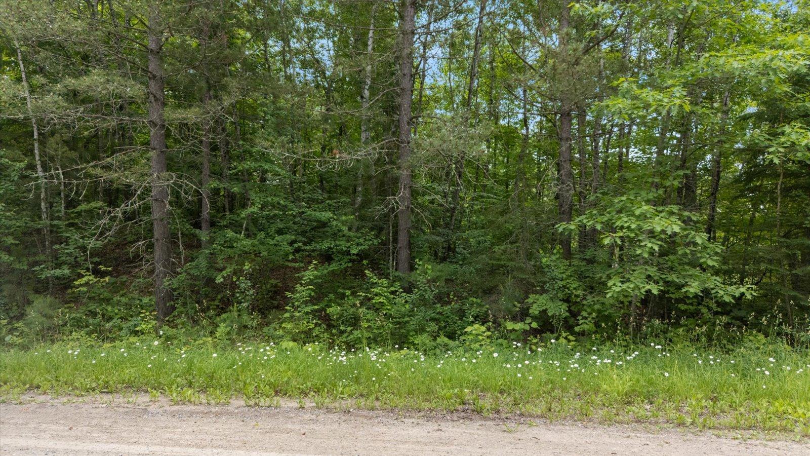 1985 land for sale at TBD "Lot C" County Road 533 in Effie, MN (photo 4 of 6)