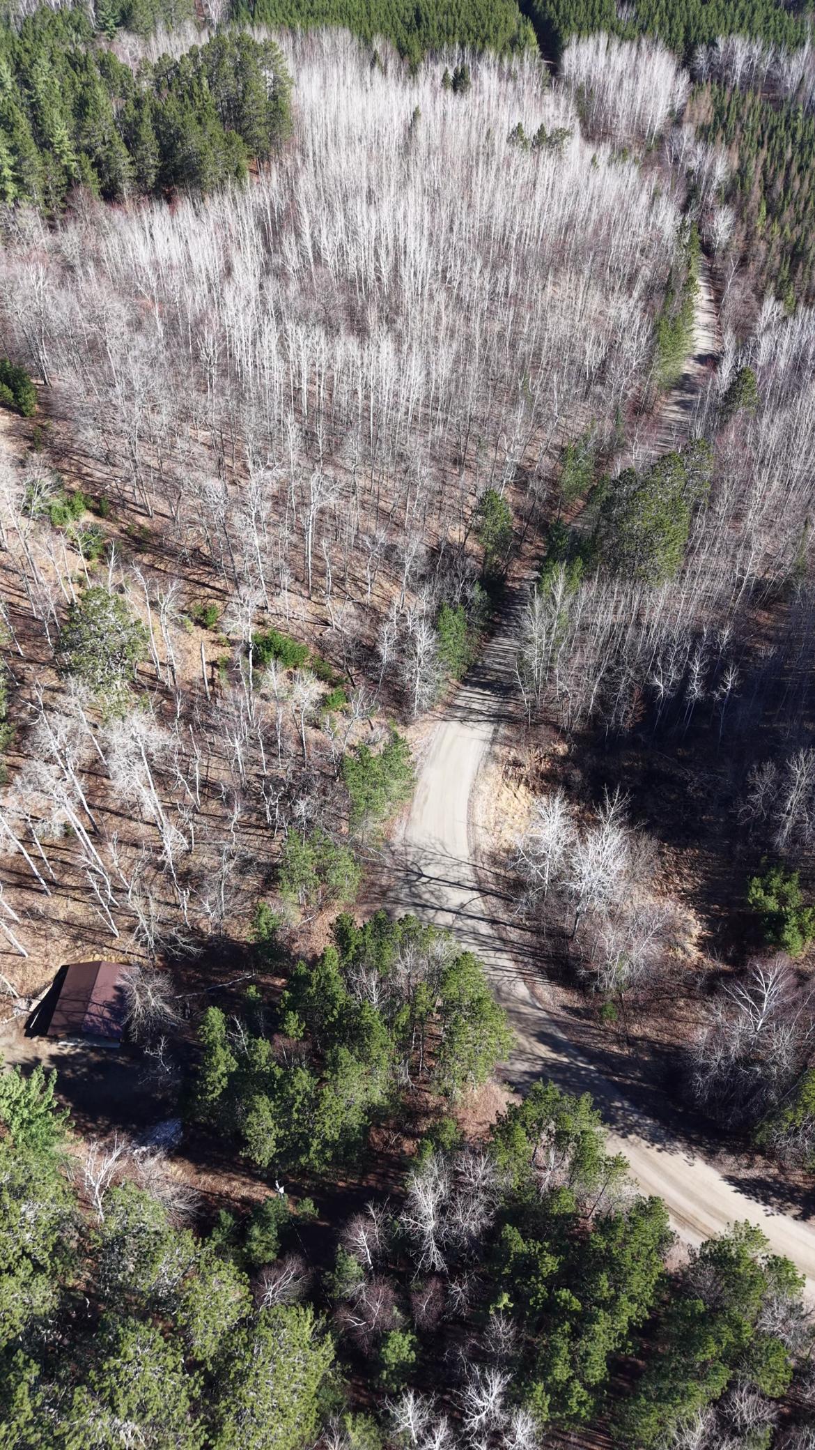 1985 land for sale at TBD "Lot C" County Road 533 in Effie, MN (photo 5 of 6)