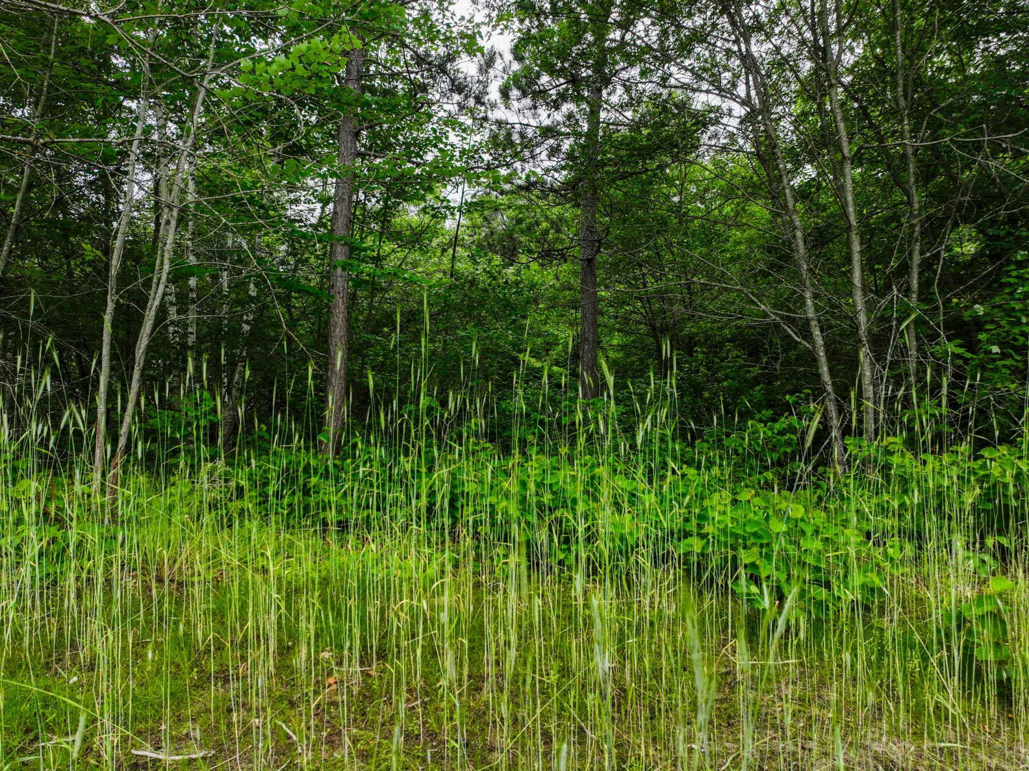 land for sale at L8B2 Sanctuary Lane in Brainerd, MN (photo 11 of 14)