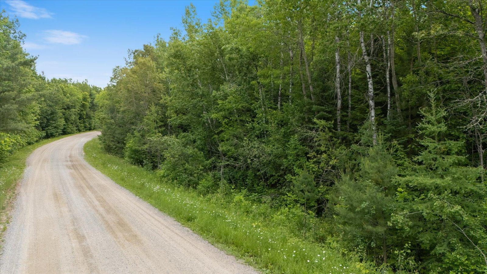 land for sale at TBD "Lot B" Co Rd 533 in Effie, MN (photo 4 of 8)